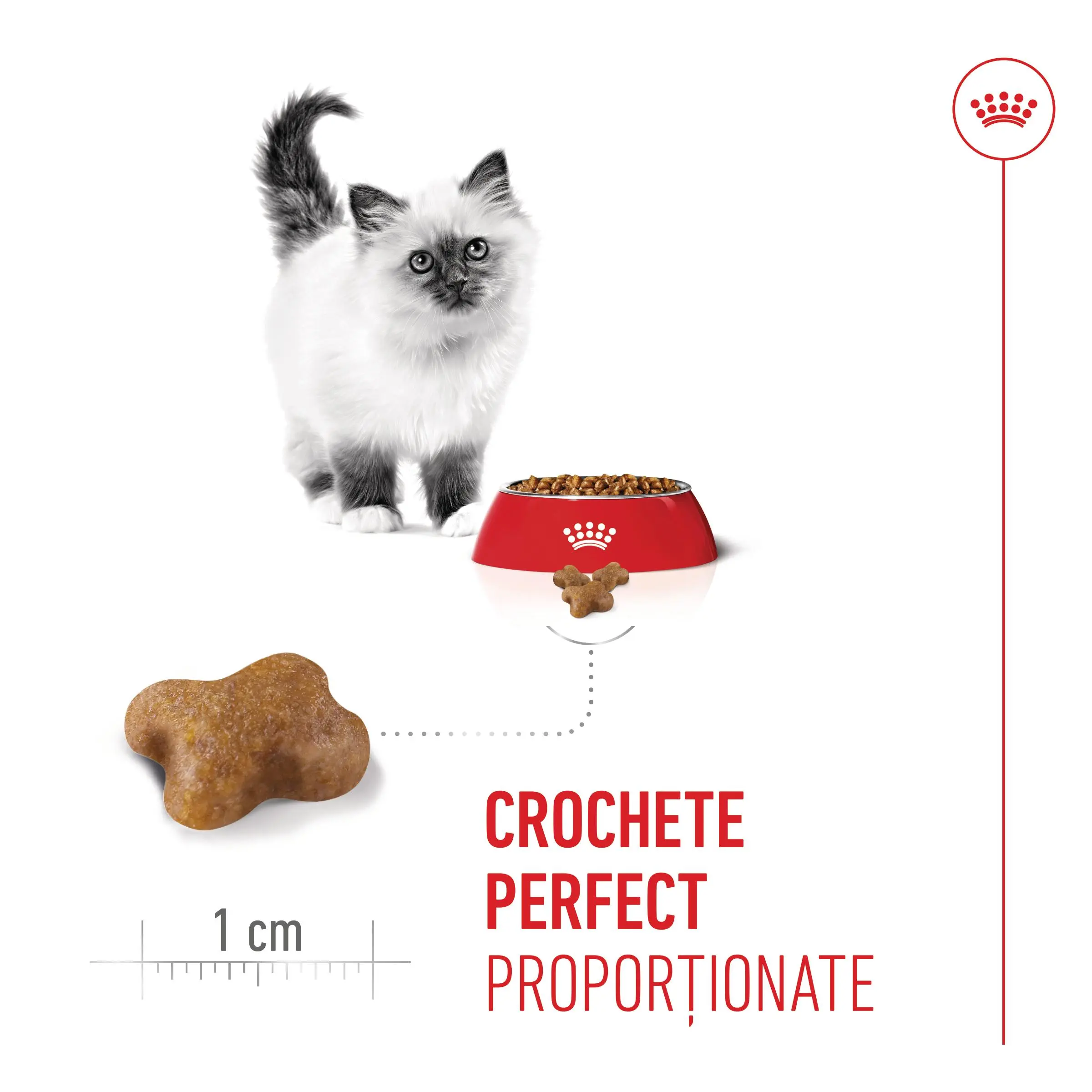 PROMO ROYAL CANIN Kitten, hrana uscata pisici junior, 400g, 60% REDUCERE la al Doilea Produs - Image 7