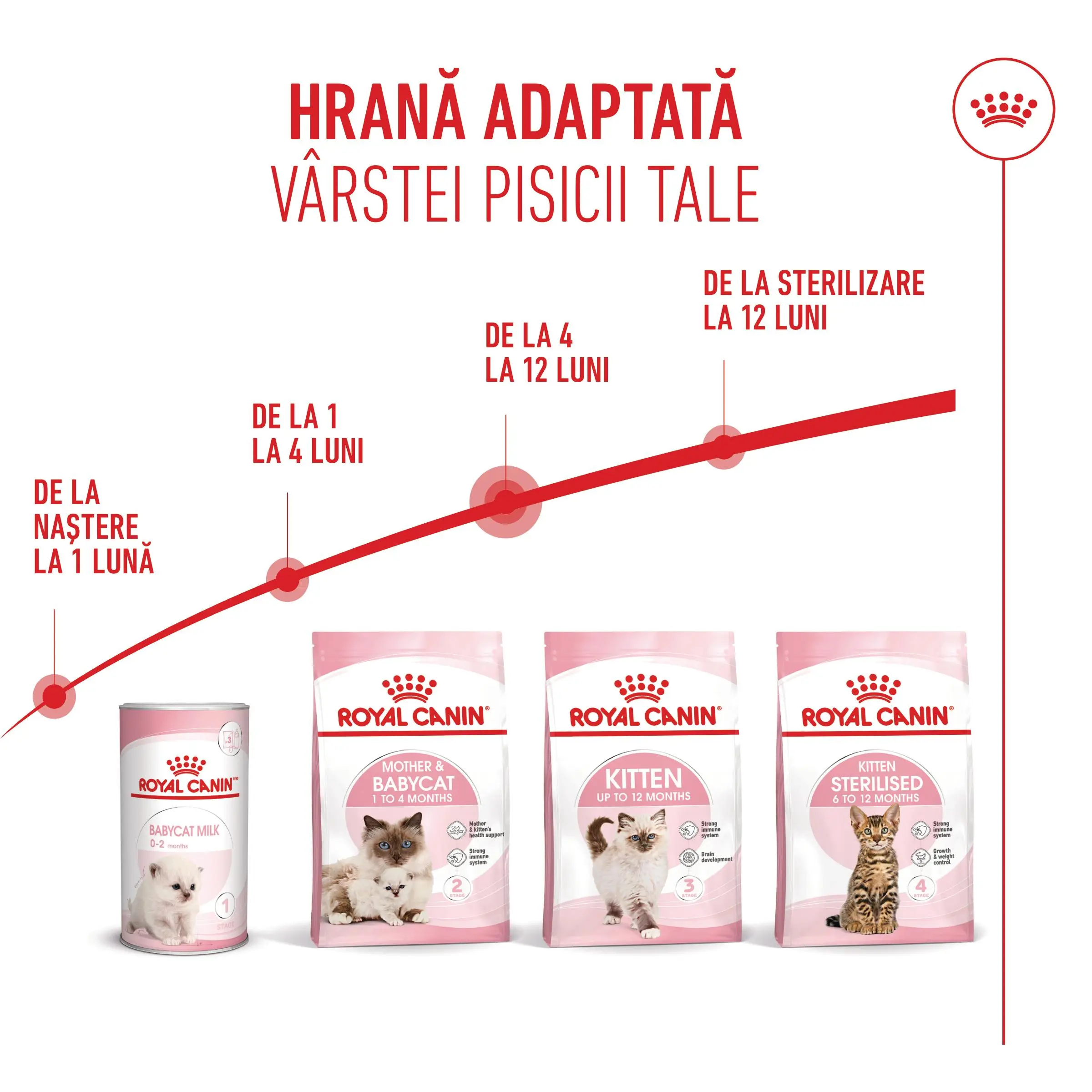 PROMO ROYAL CANIN Kitten, hrana uscata pisici junior, 400g, 60% REDUCERE la al Doilea Produs - Image 12