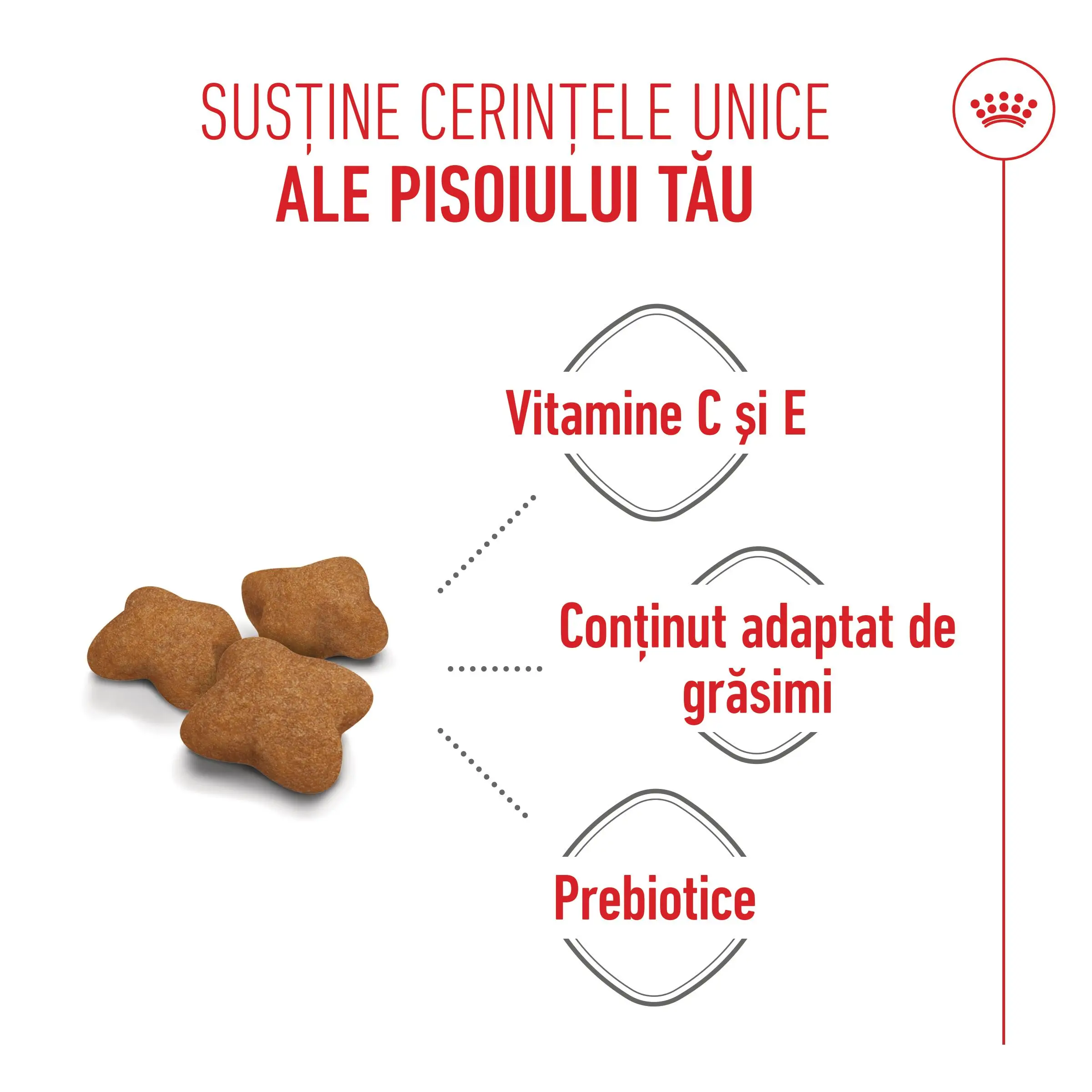 PROMO ROYAL CANIN Kitten Sterilised, hrana uscata pisici sterilizate junior, 2kg + 400g GRATUIT - Image 6
