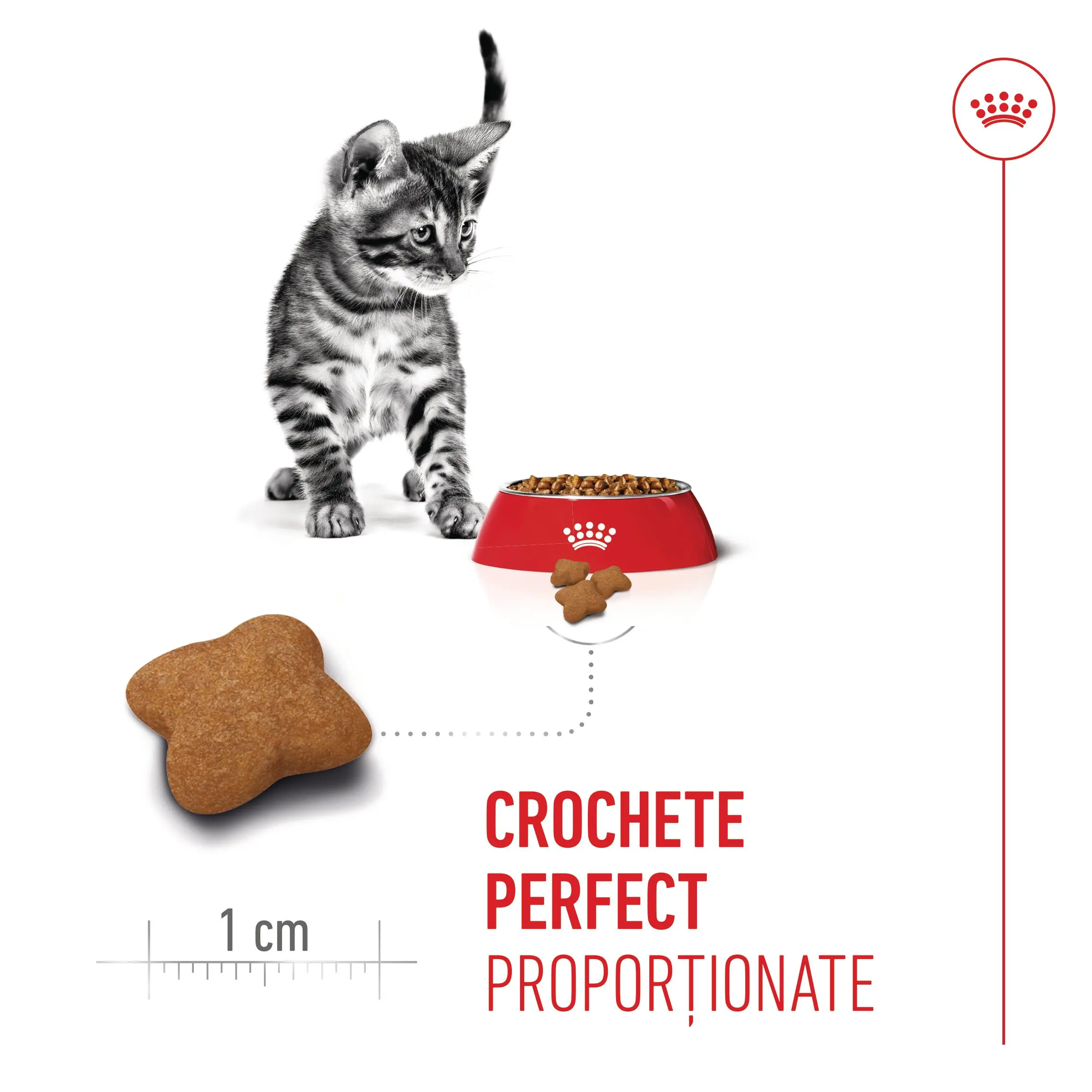 PROMO ROYAL CANIN Kitten Sterilised, hrana uscata pisici sterilizate junior, 2kg + 400g GRATUIT - Image 7