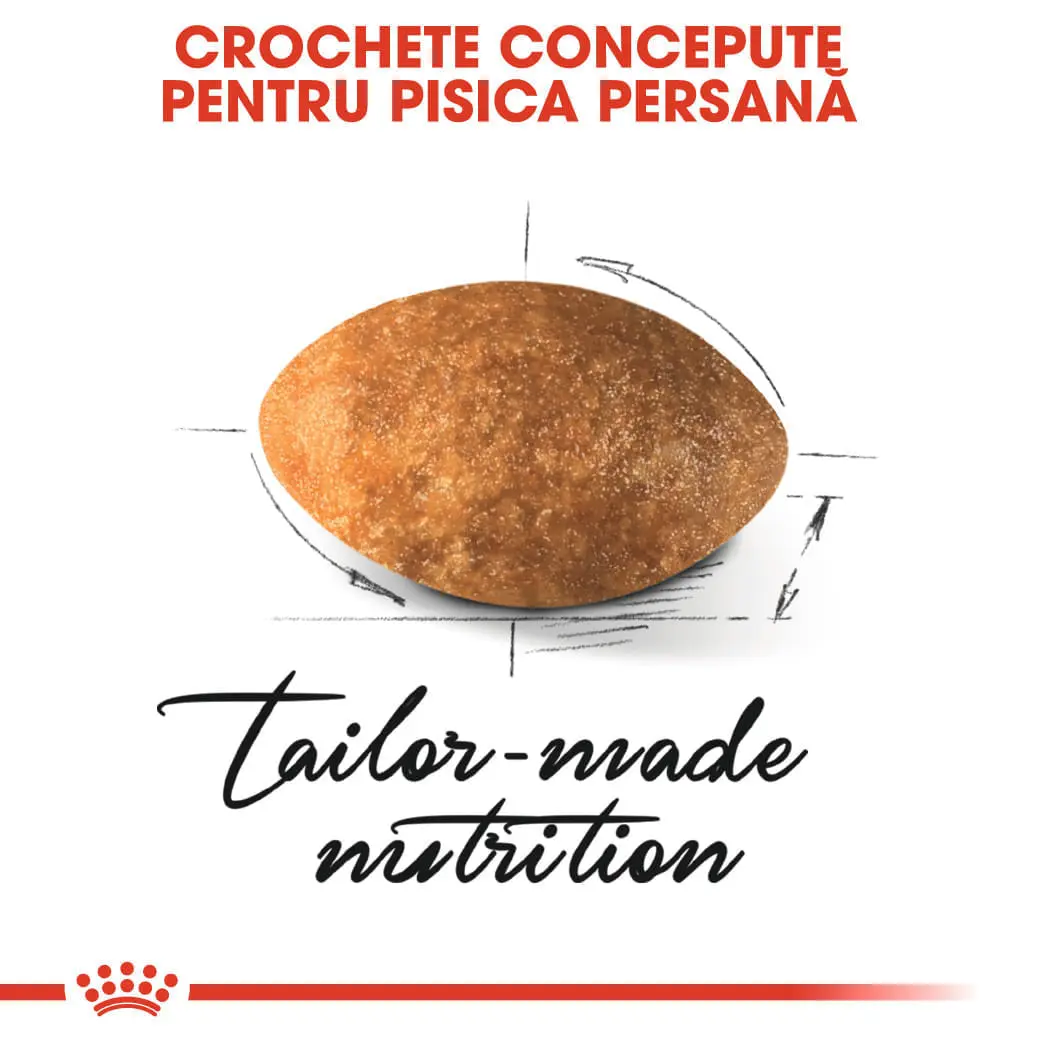 PROMO ROYAL CANIN Persian Adult, hrana uscata pisici, 2kg + 6 buc x 85g plic GRATUIT - Image 7
