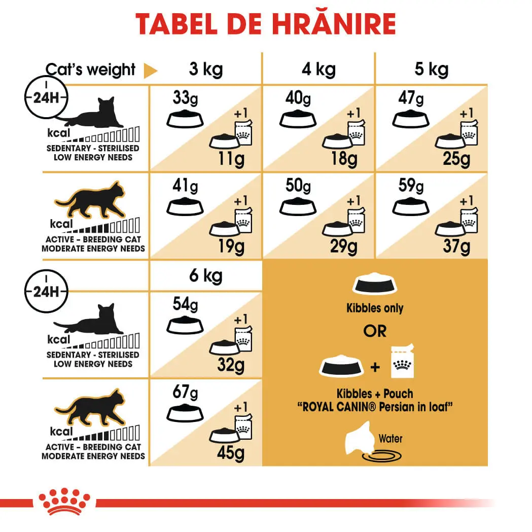 PROMO ROYAL CANIN Persian Adult, hrana uscata pisici, 2kg + 6 buc x 85g plic GRATUIT - Image 9