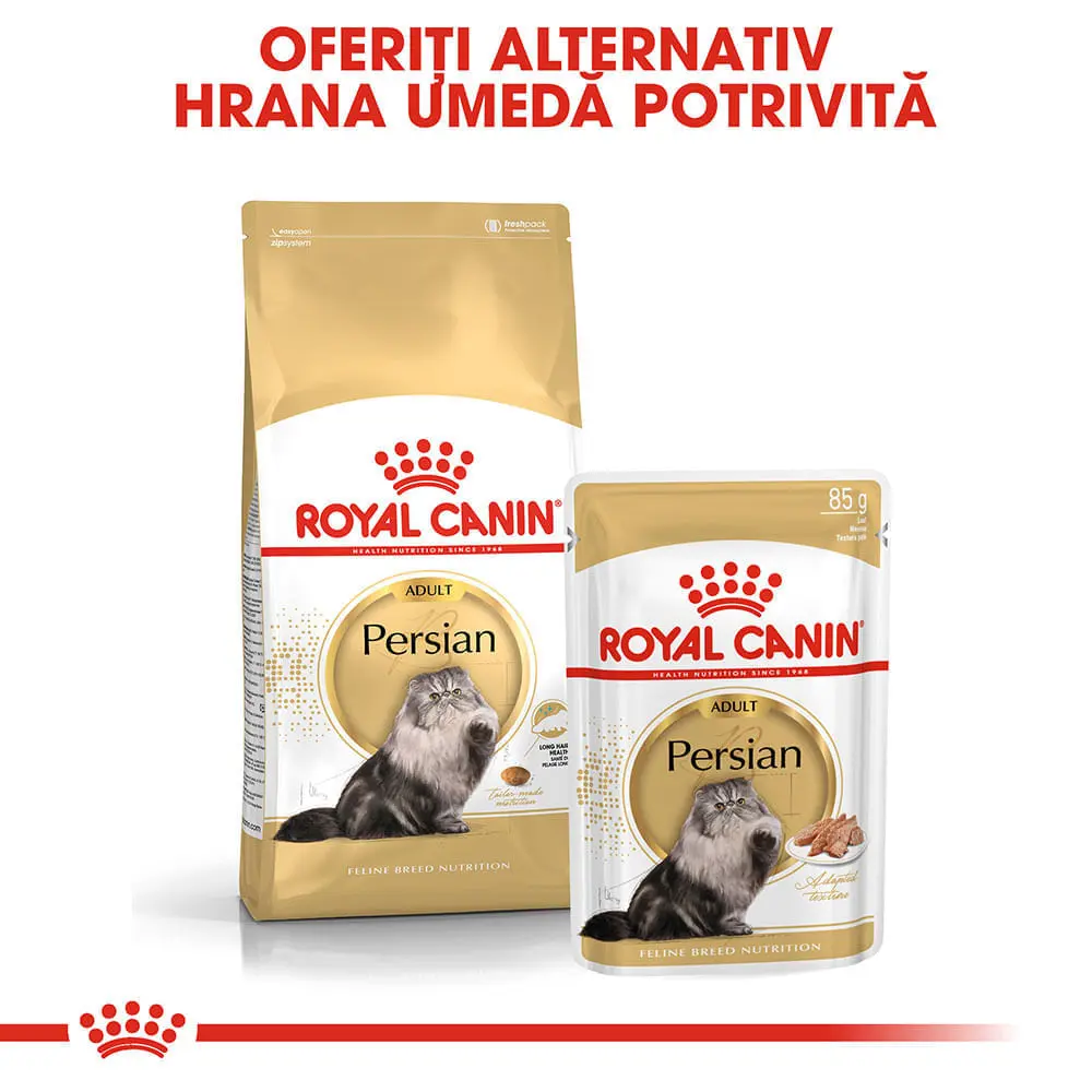 PROMO ROYAL CANIN Persian Adult, hrana uscata pisici, 2kg + 6 buc x 85g plic GRATUIT - Image 10
