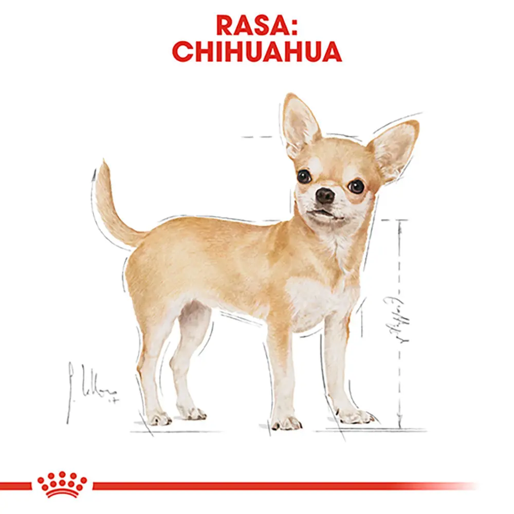 PROMO ROYAL CANIN Chihuahua Adult, hrana uscata caini, 1.5kg + 2buc x 85g plic GRATUIT - Image 5
