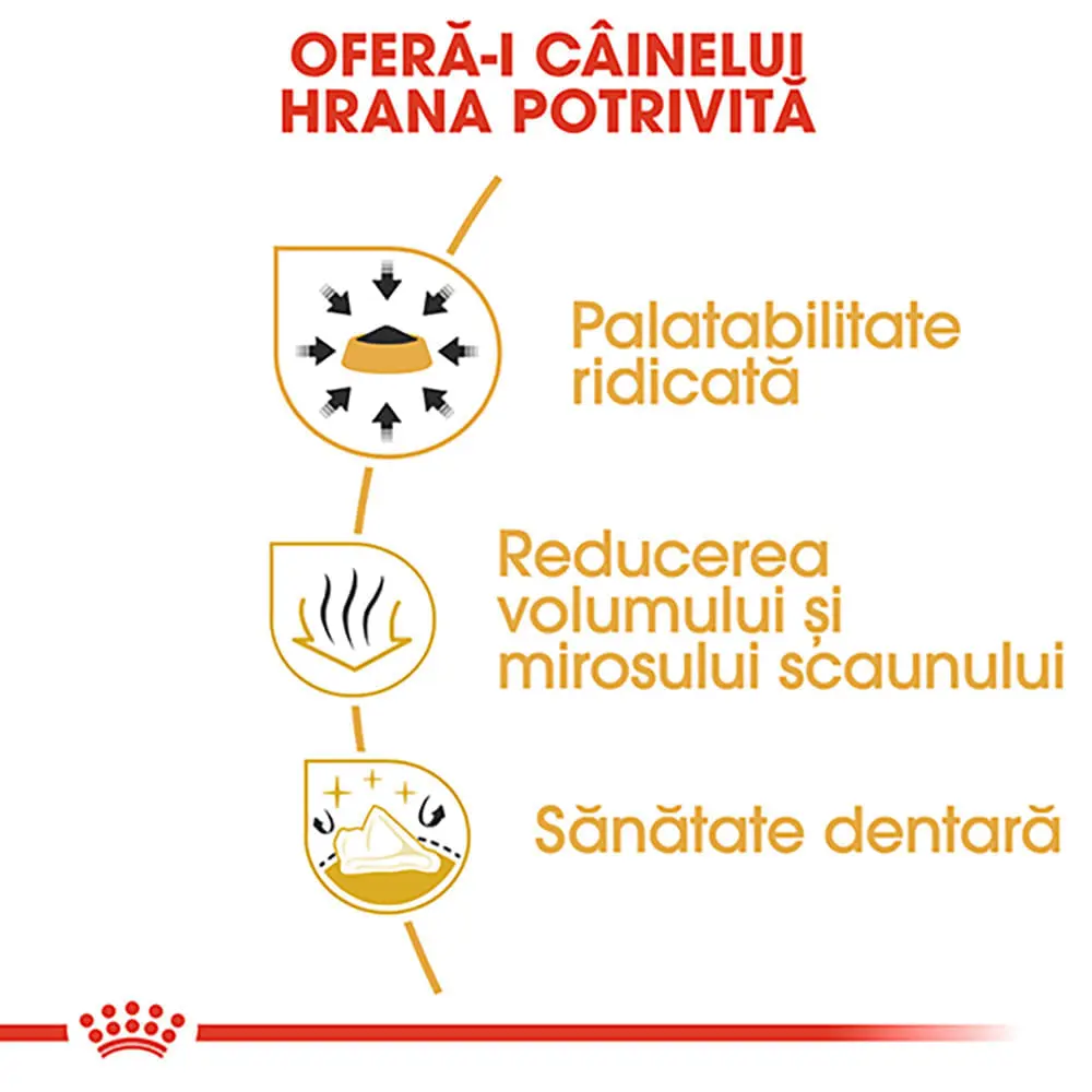 PROMO ROYAL CANIN Chihuahua Adult, hrana uscata caini, 1.5kg + 2buc x 85g plic GRATUIT - Image 6