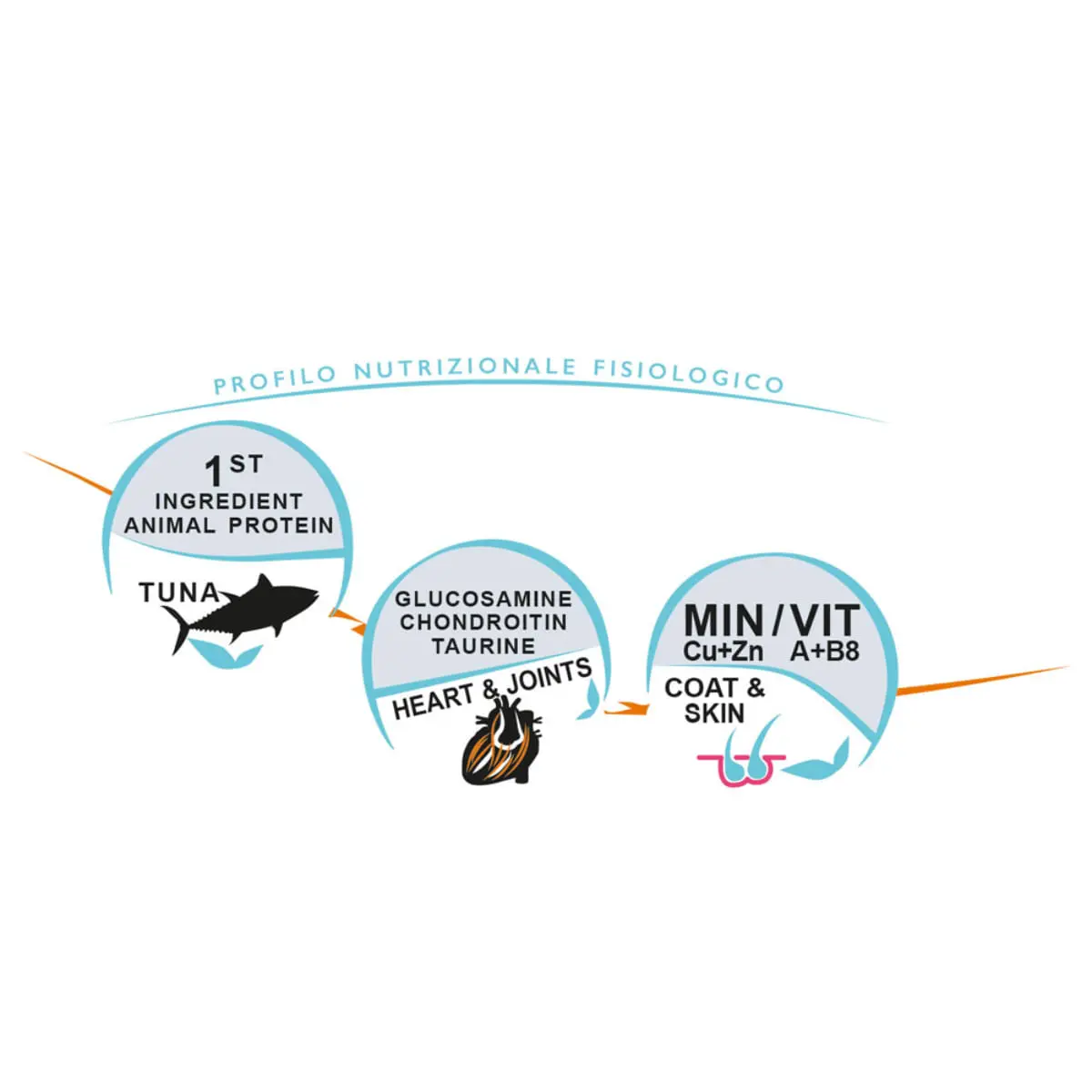 UNICA Classe Sensitive Maxi, L-XL, Ton, hrana uscata caini, 12kg - Image 4