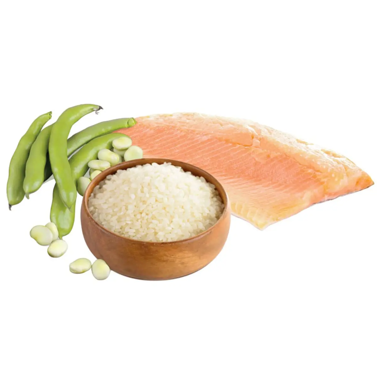 UNICA Natura Mono, M-XL, Pastrav si Orez, hrana uscata monoproteica caini, 12kg - Image 4