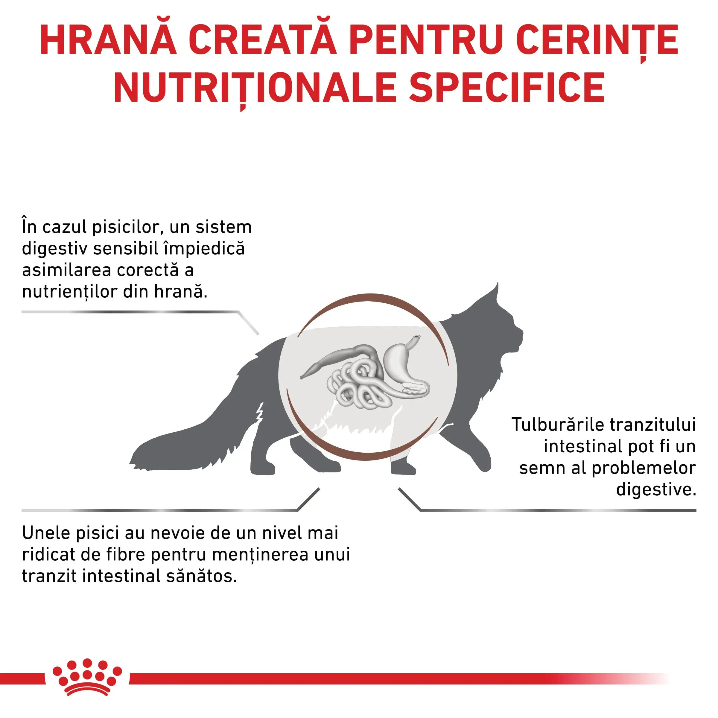 ROYAL CANIN VD Gastrointestinal Fibre Response, dieta veterinara, hrana uscata pisici, sistem digestiv, 2kg - Image 3