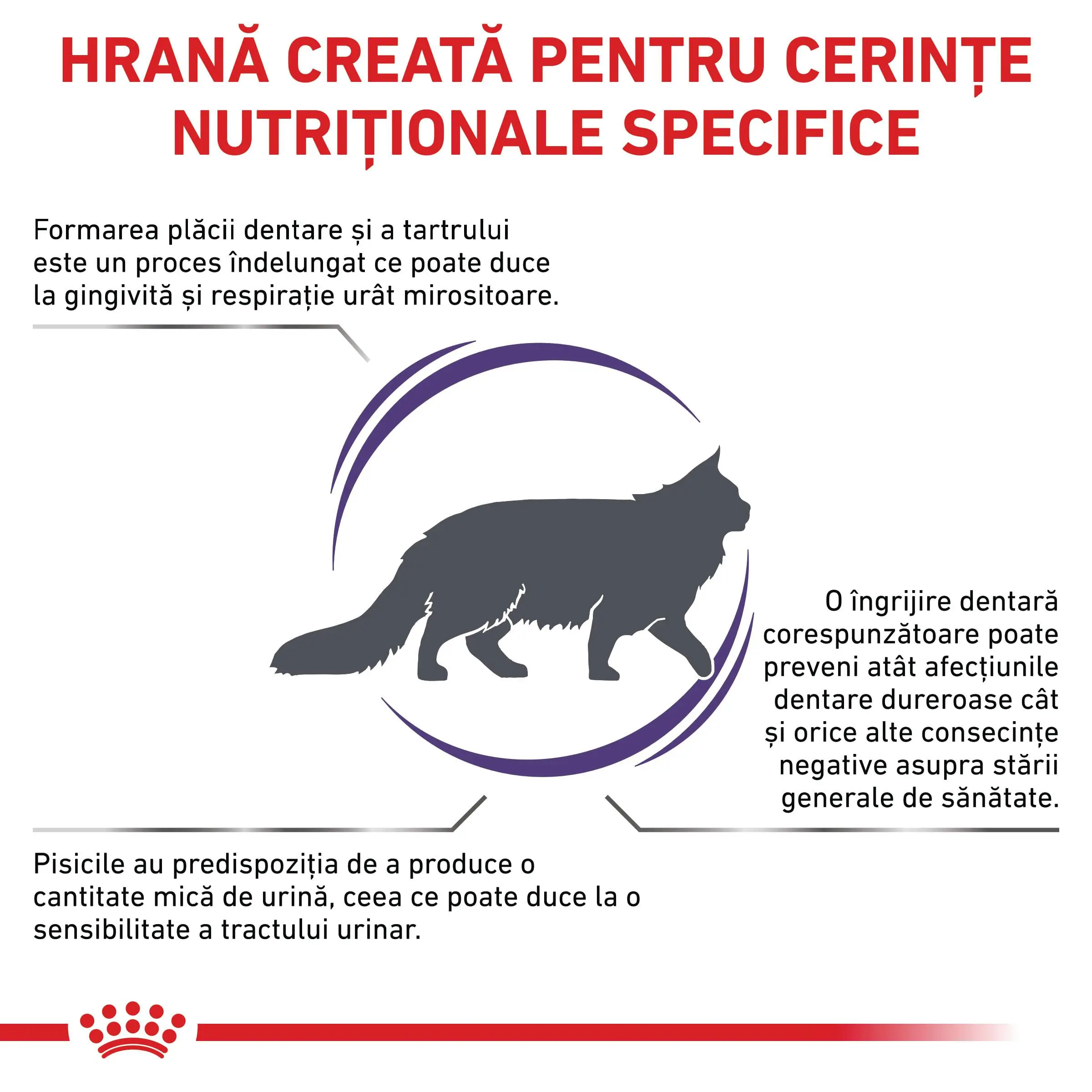 ROYAL CANIN VD Dental, dieta veterinara, hrana uscata pisici, sensibilitati dentare, 1.5kg - Image 3
