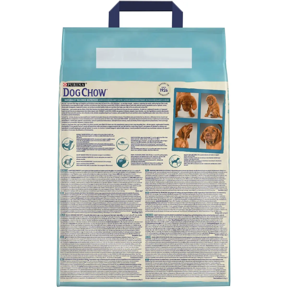 PURINA Dog Chow Puppy M, Miel, hrana uscata caini junior, 2.5kg - Image 5