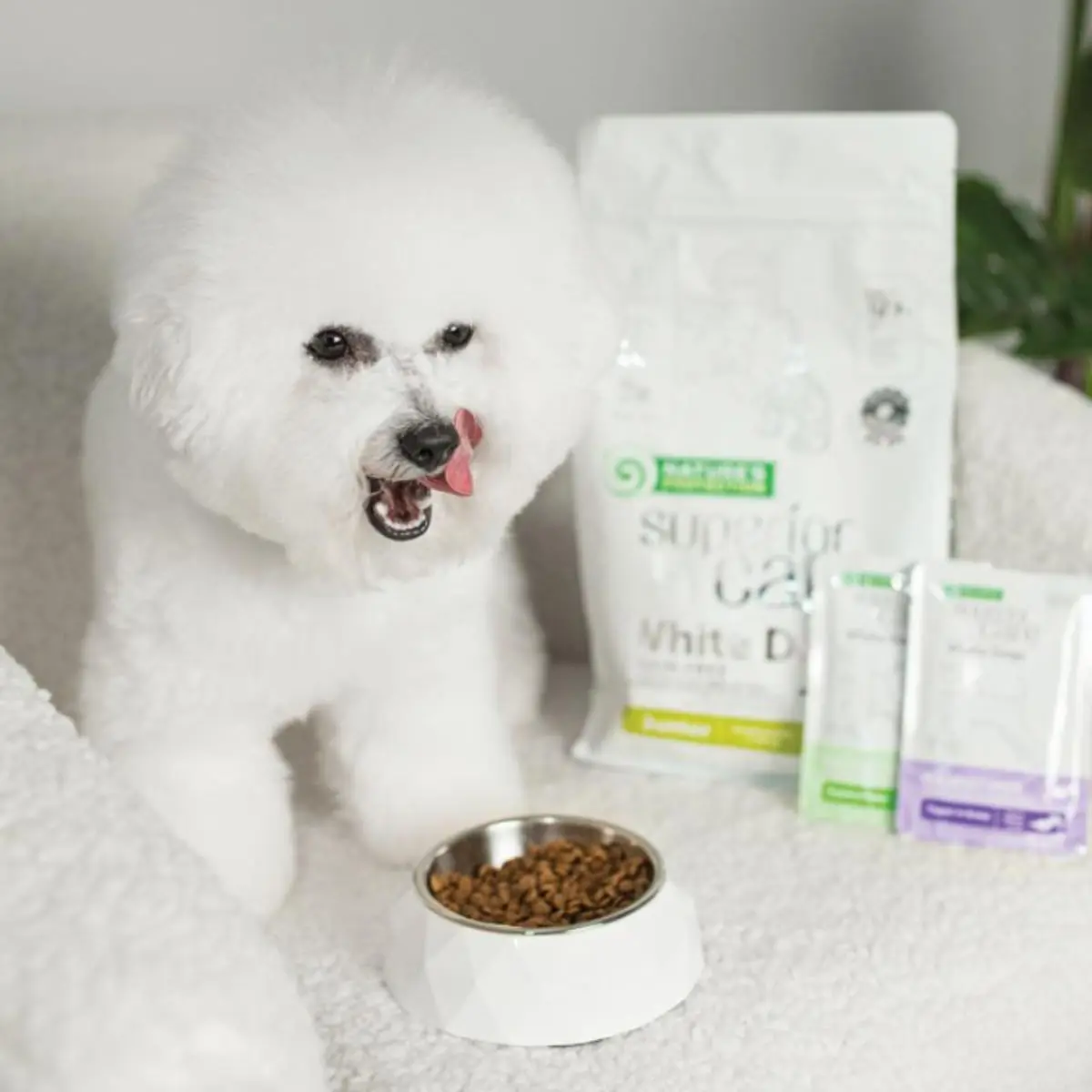 NATURES PROTECTION Superior Care White Dogs, XS-XL, Ton si Peste alb, plic hrana umeda caini, (topping), 70g - Image 6