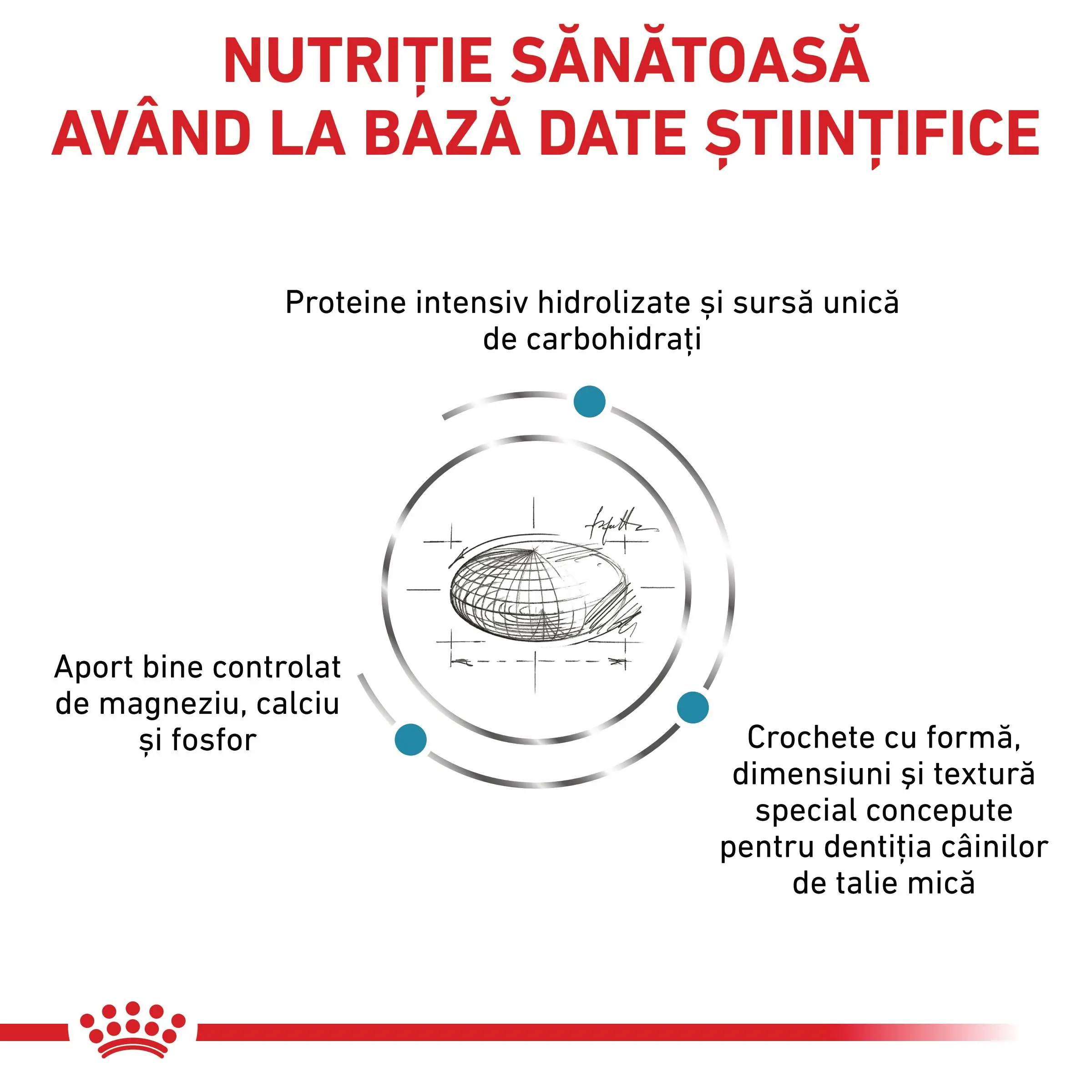 ROYAL CANIN VD Hypoallergenic Small Dog, XS-S, dieta veterinara, hrana uscata caini, alergii alimentare, 1kg - Image 7