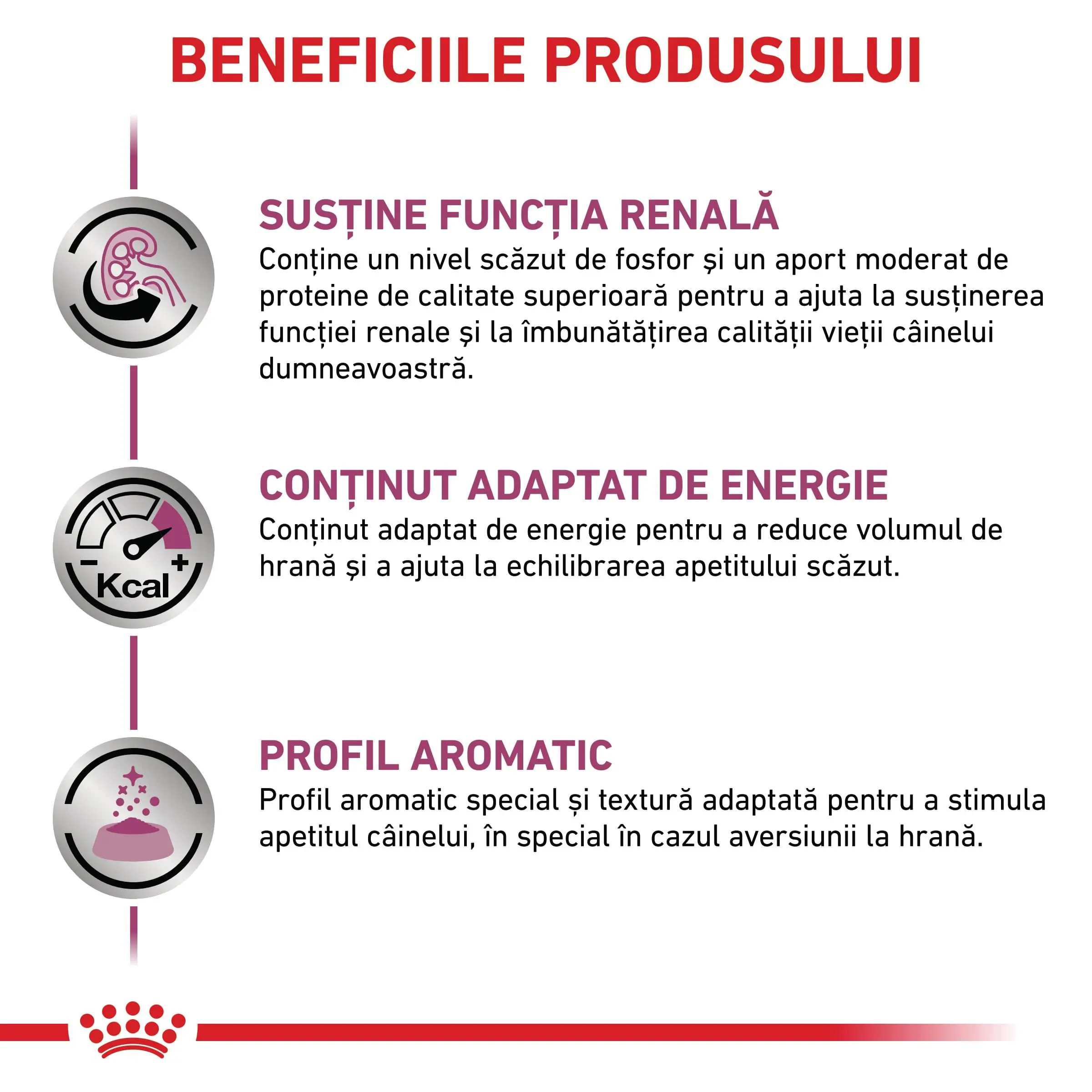 ROYAL CANIN VD Renal, XS-XL, dieta veterinara, conserva hrana umeda caini, sistem renal, (pate), 200g - Image 3