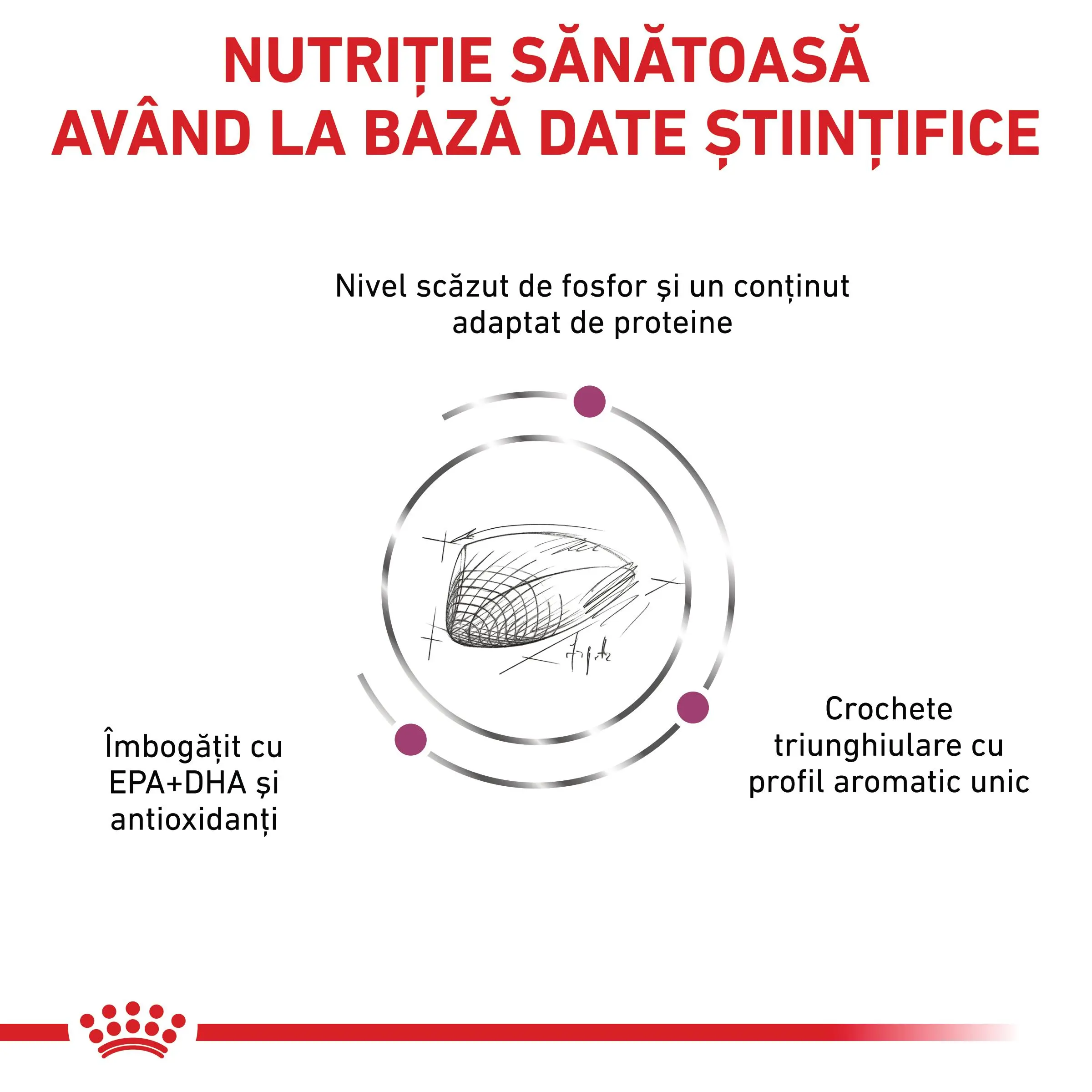 ROYAL CANIN VD Renal Special, dieta veterinara, hrana uscata pisici, sistem renal, 4kg - Image 7
