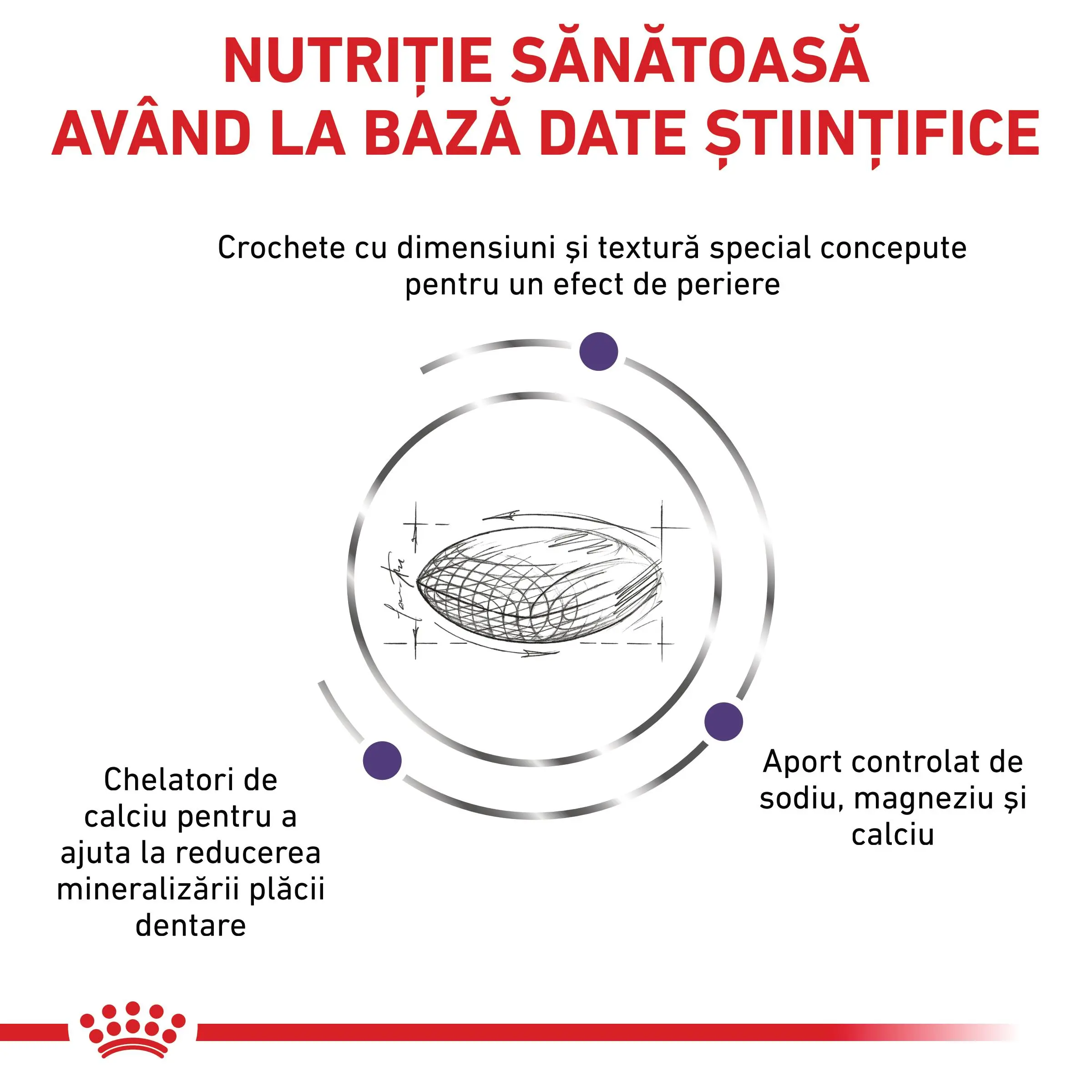 ROYAL CANIN VD Dental Small Dog, XS-S, dieta veterinara, hrana uscata caini, sensibilitati dentare, 1.5kg - Image 7