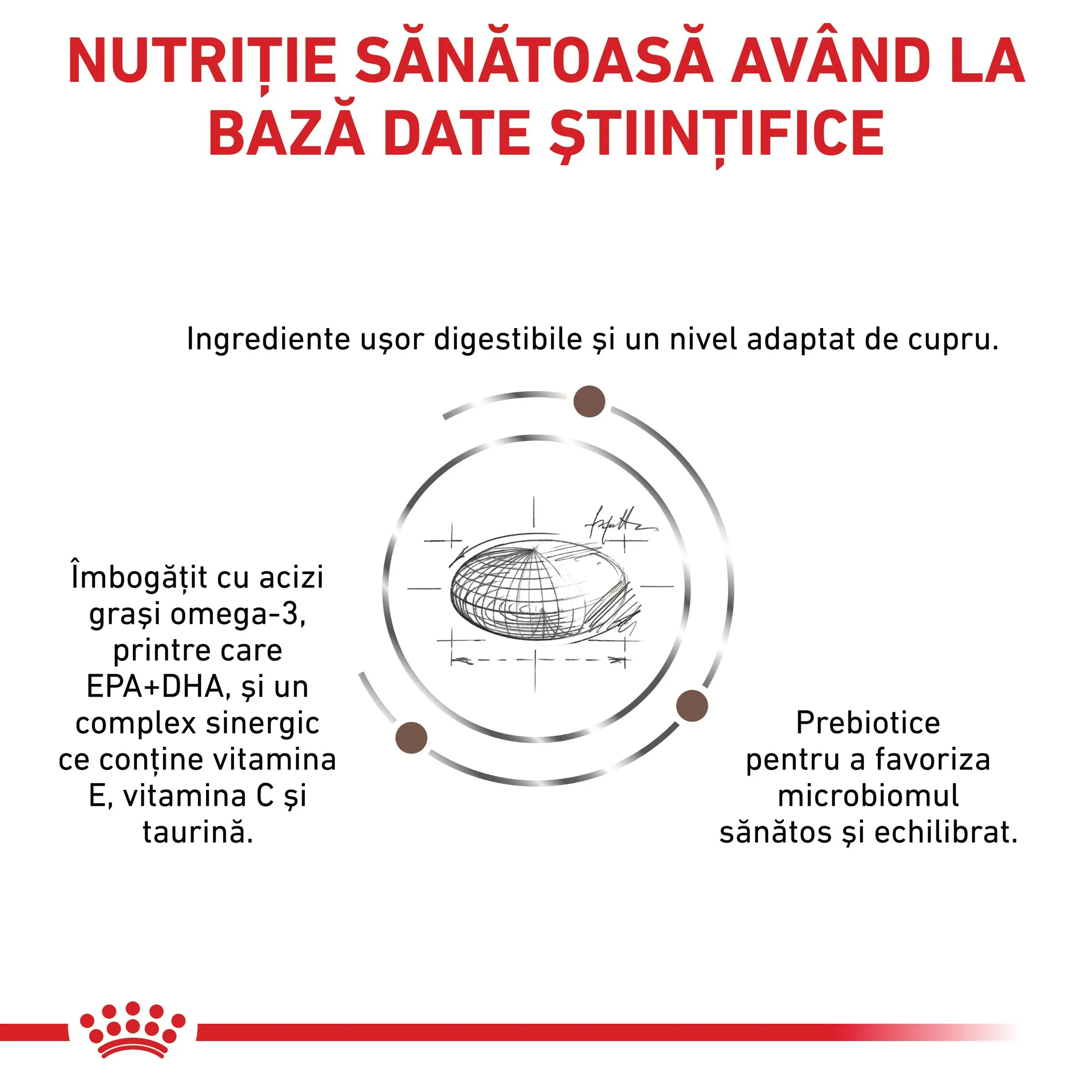 ROYAL CANIN VD Hepatic, dieta veterinara, hrana uscata pisici, suport hepatic, 2kg - Image 7