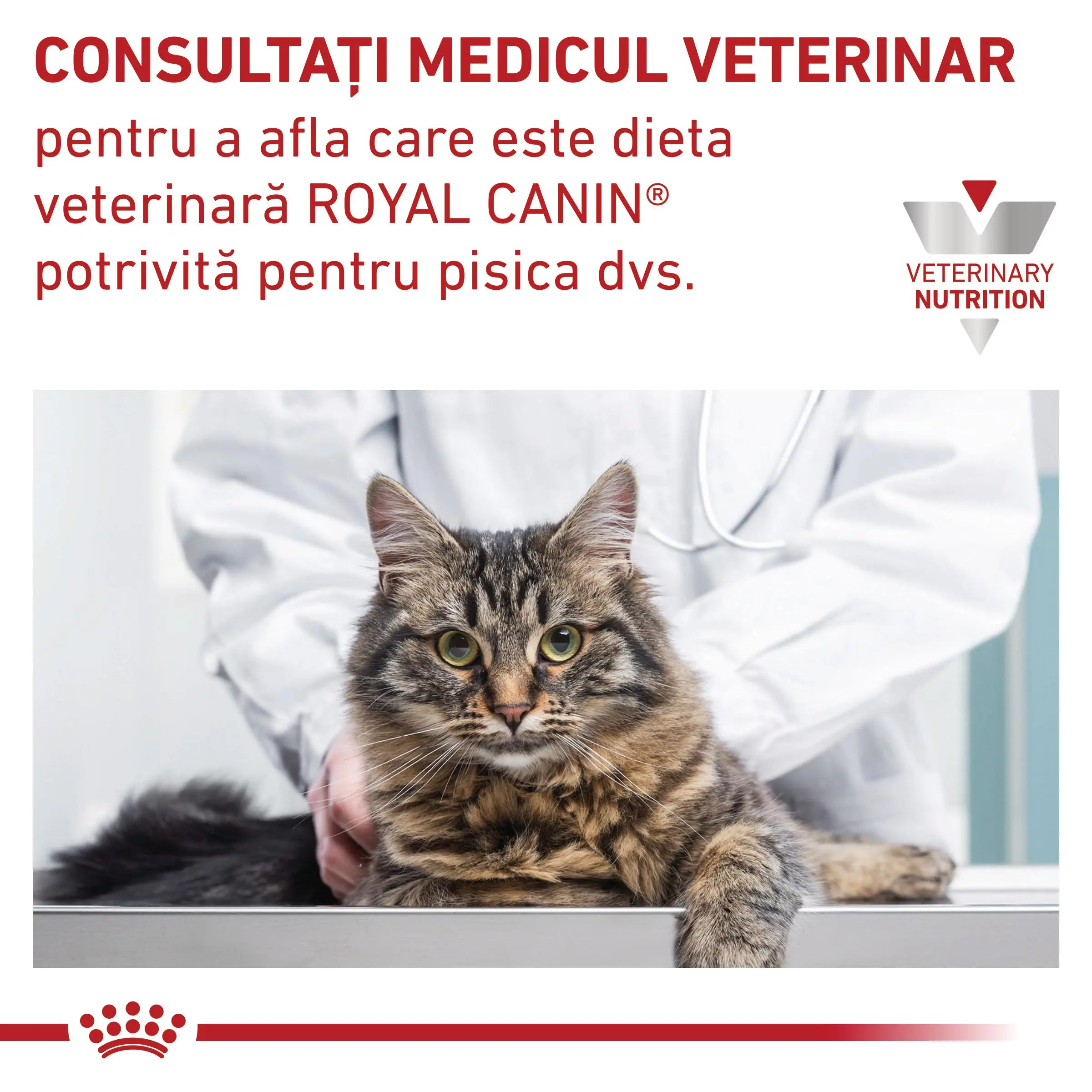 ROYAL CANIN VD Urinary S/O, dieta veterinara, hrana uscata pisici, sistem urinar, 400g - Image 8