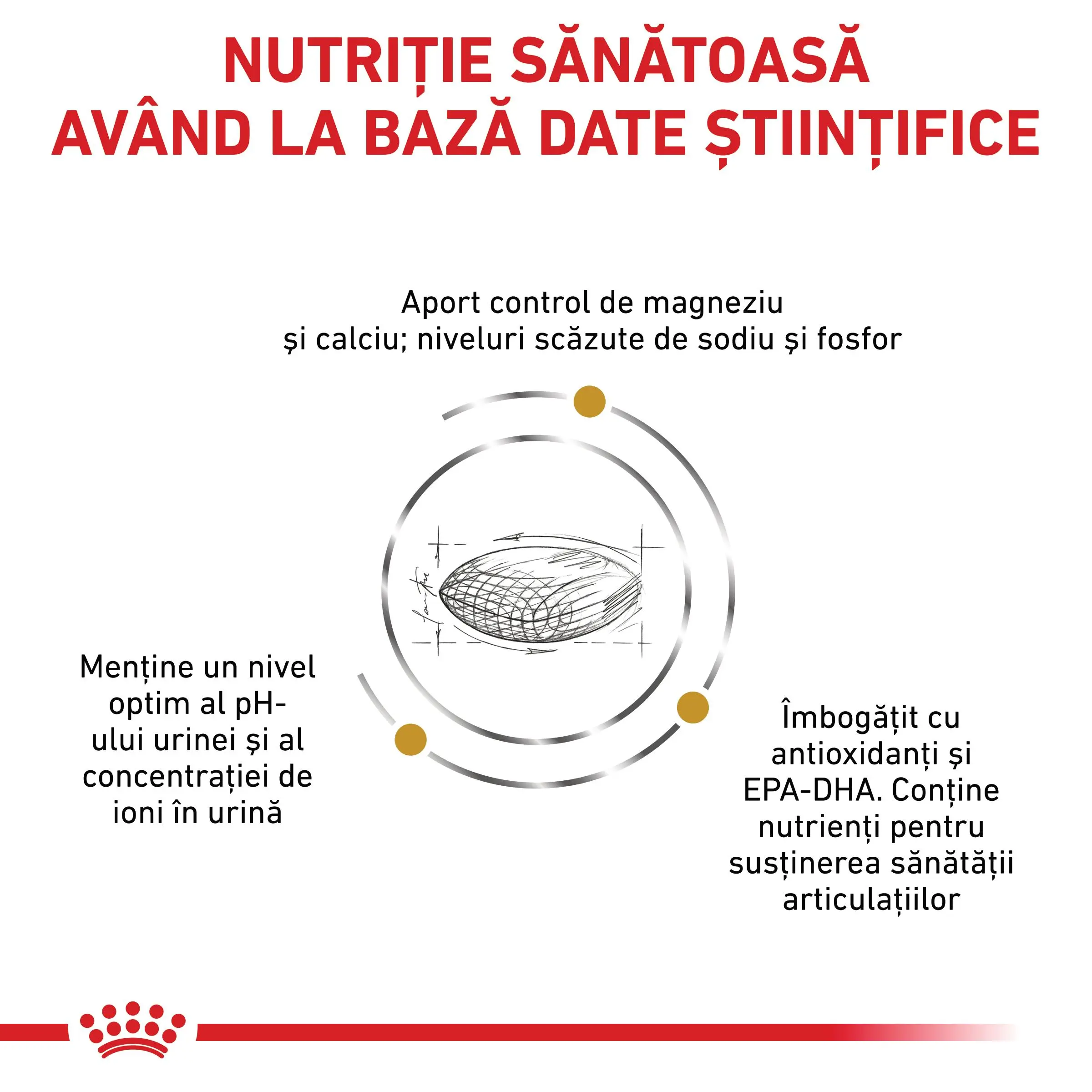 ROYAL CANIN VD Urinary S/O Ageing 7+, S-XL, dieta veterinara, hrana uscata caini senior, sistem urinar, 8kg - Image 7