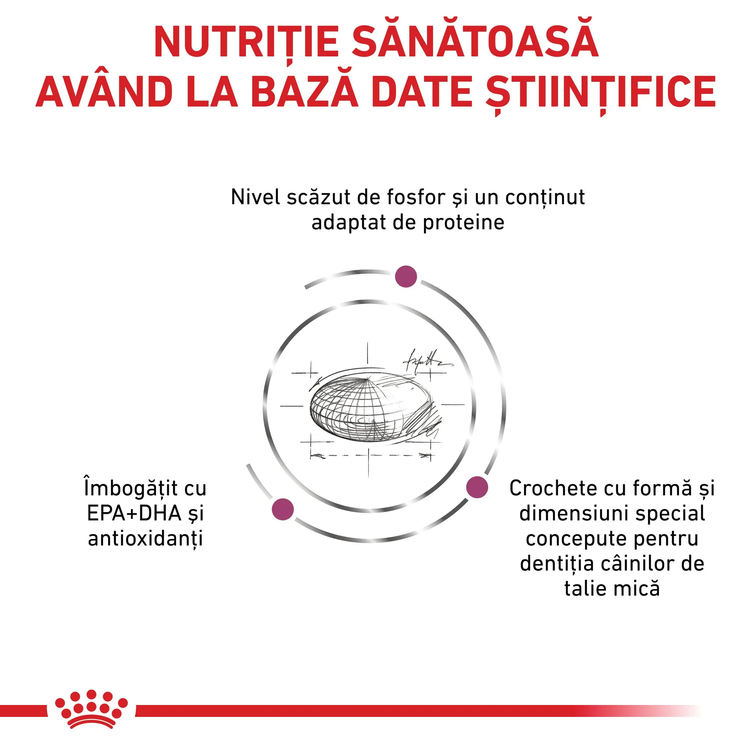 ROYAL CANIN VD Renal Small Dog, XS-S, dieta veterinara, hrana uscata caini, sistem renal, 1.5kg - Image 7