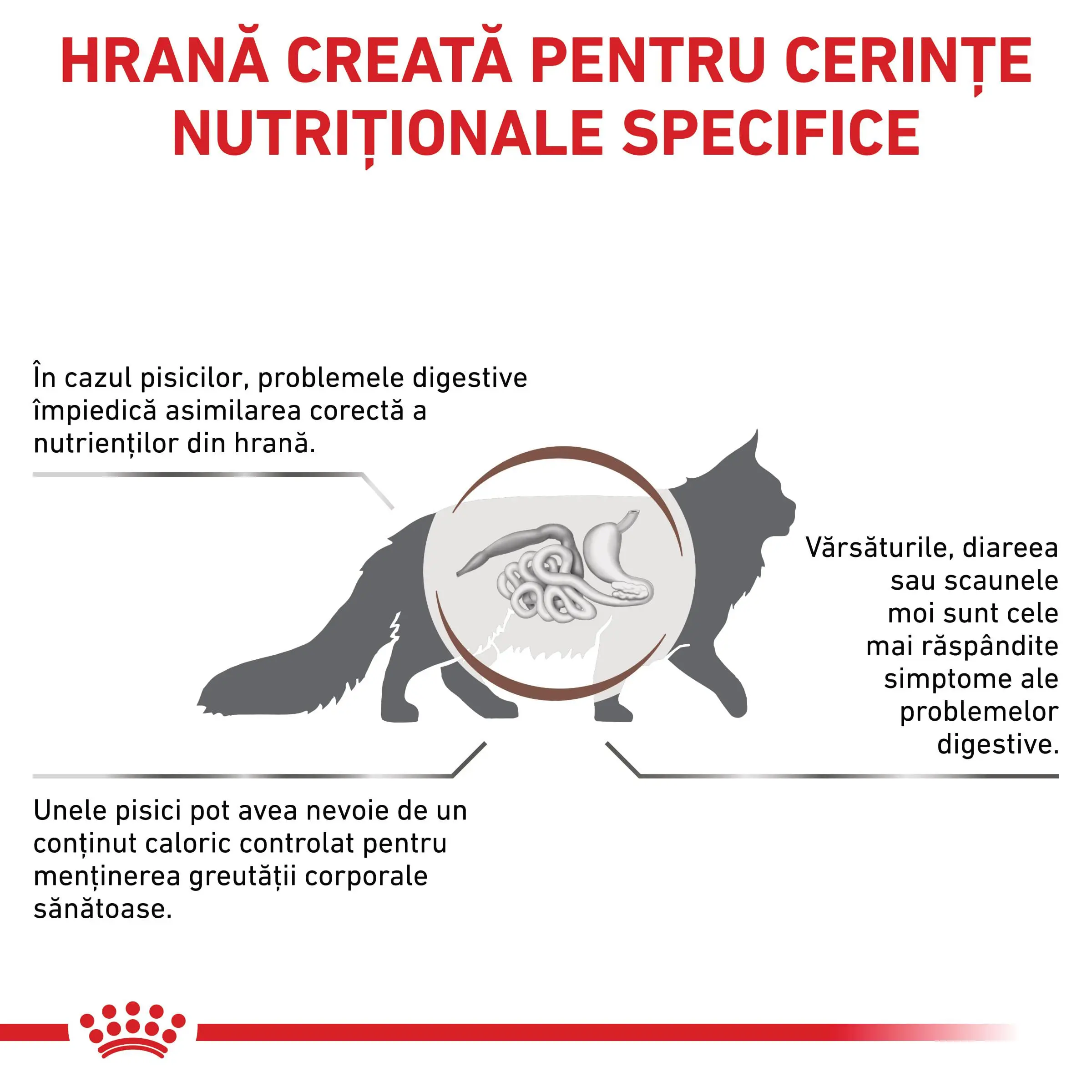 ROYAL CANIN VD Gastrointestinal Moderate Calorie, dieta veterinara, hrana uscata pisici, sistem digestiv, 4kg - Image 3