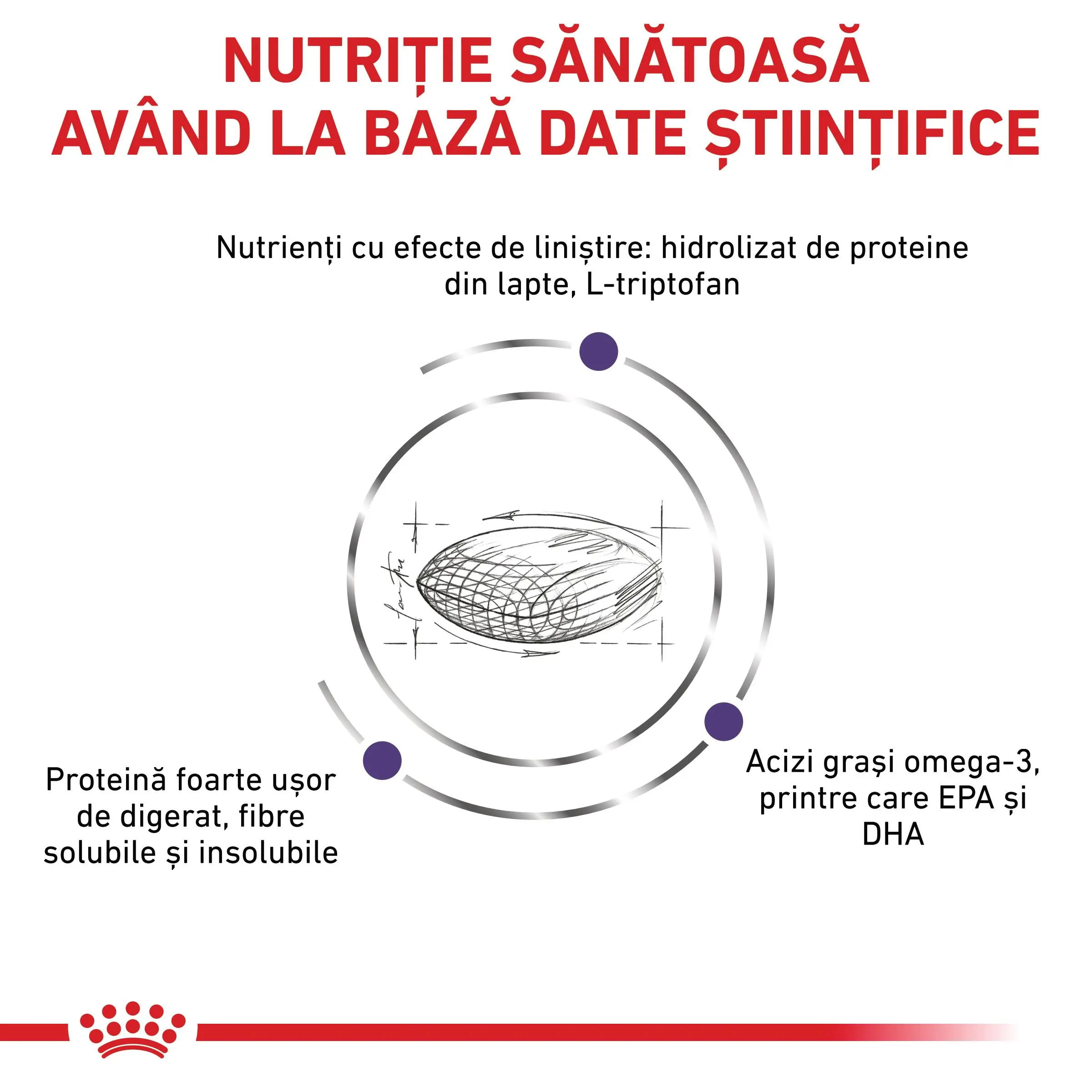 ROYAL CANIN VD Calm, XS-XL, dieta veterinara, hrana uscata caini, sistem nervos & calmante, 4kg - Image 7