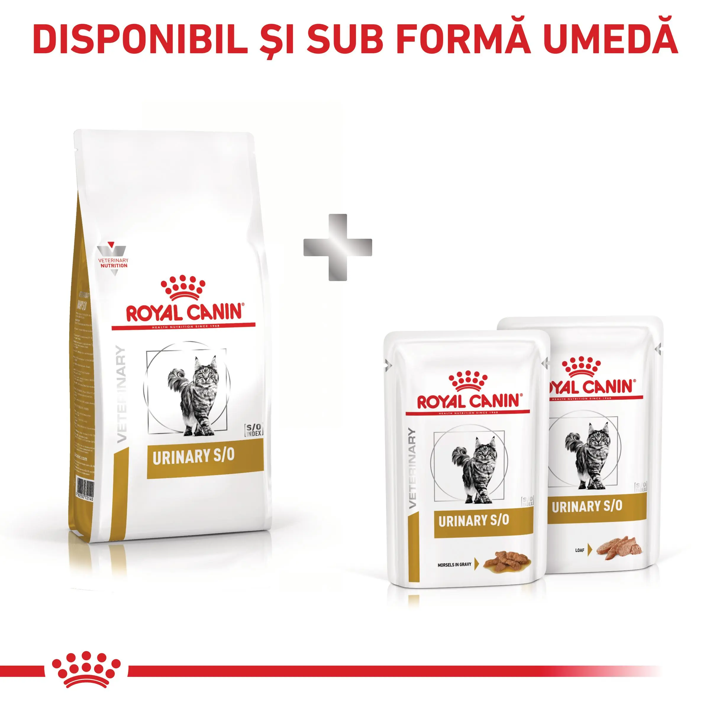 ROYAL CANIN VD Urinary S/O, dieta veterinara, hrana uscata pisici, sistem urinar, 400g - Image 9