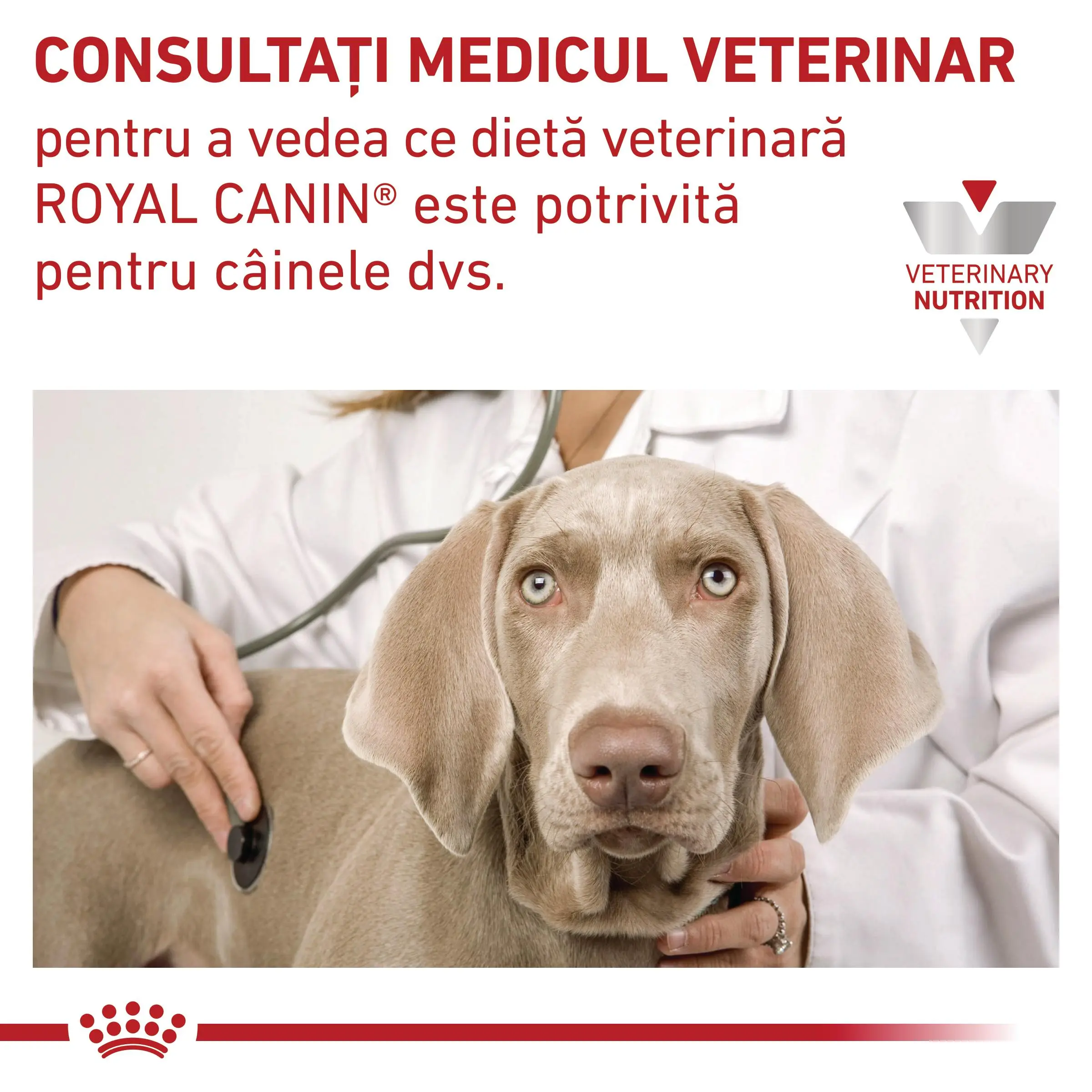 ROYAL CANIN VD Urinary S/O Ageing 7+, S-XL, dieta veterinara, hrana uscata caini senior, sistem urinar, 8kg - Image 8