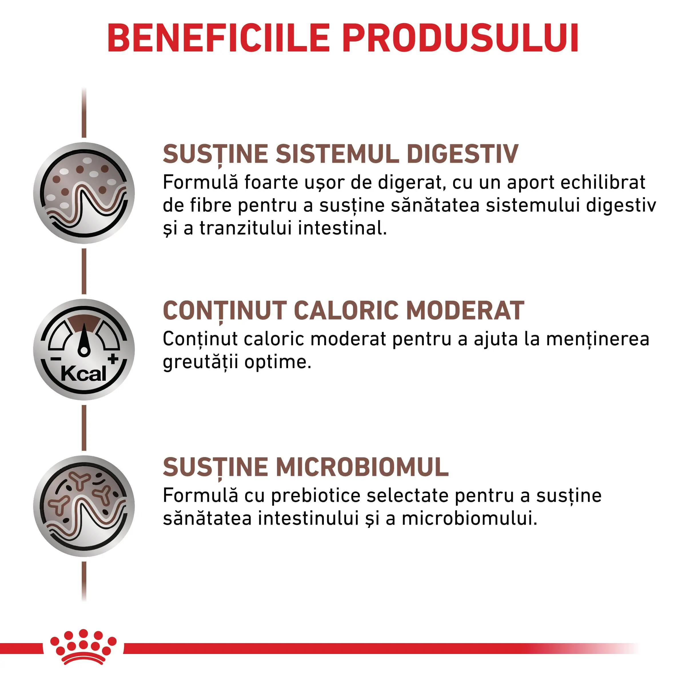 ROYAL CANIN VD Gastrointestinal Moderate Calorie, dieta veterinara, hrana uscata pisici, sistem digestiv, 4kg - Image 4