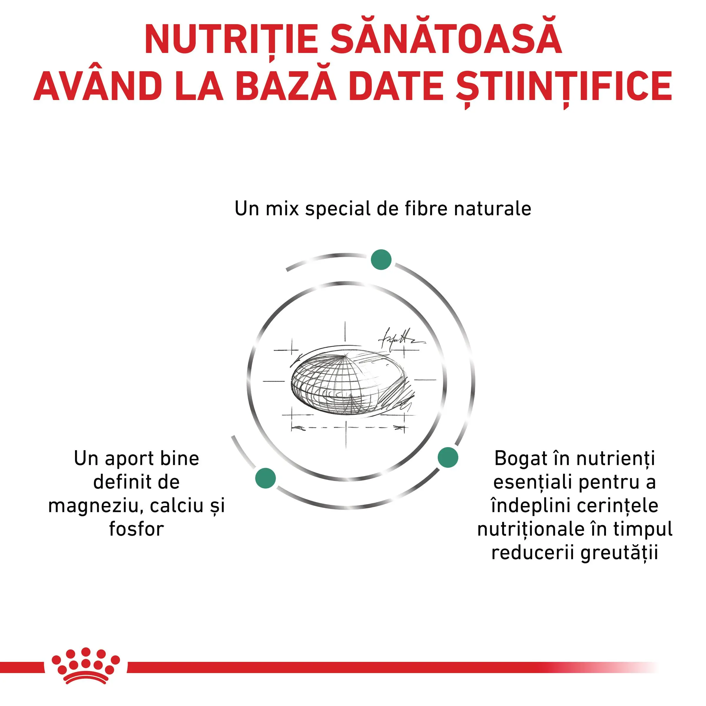 ROYAL CANIN VD Satiety Small Dog, XS-S, dieta veterinara, hrana uscata caini, obezitate, 3kg - Image 7