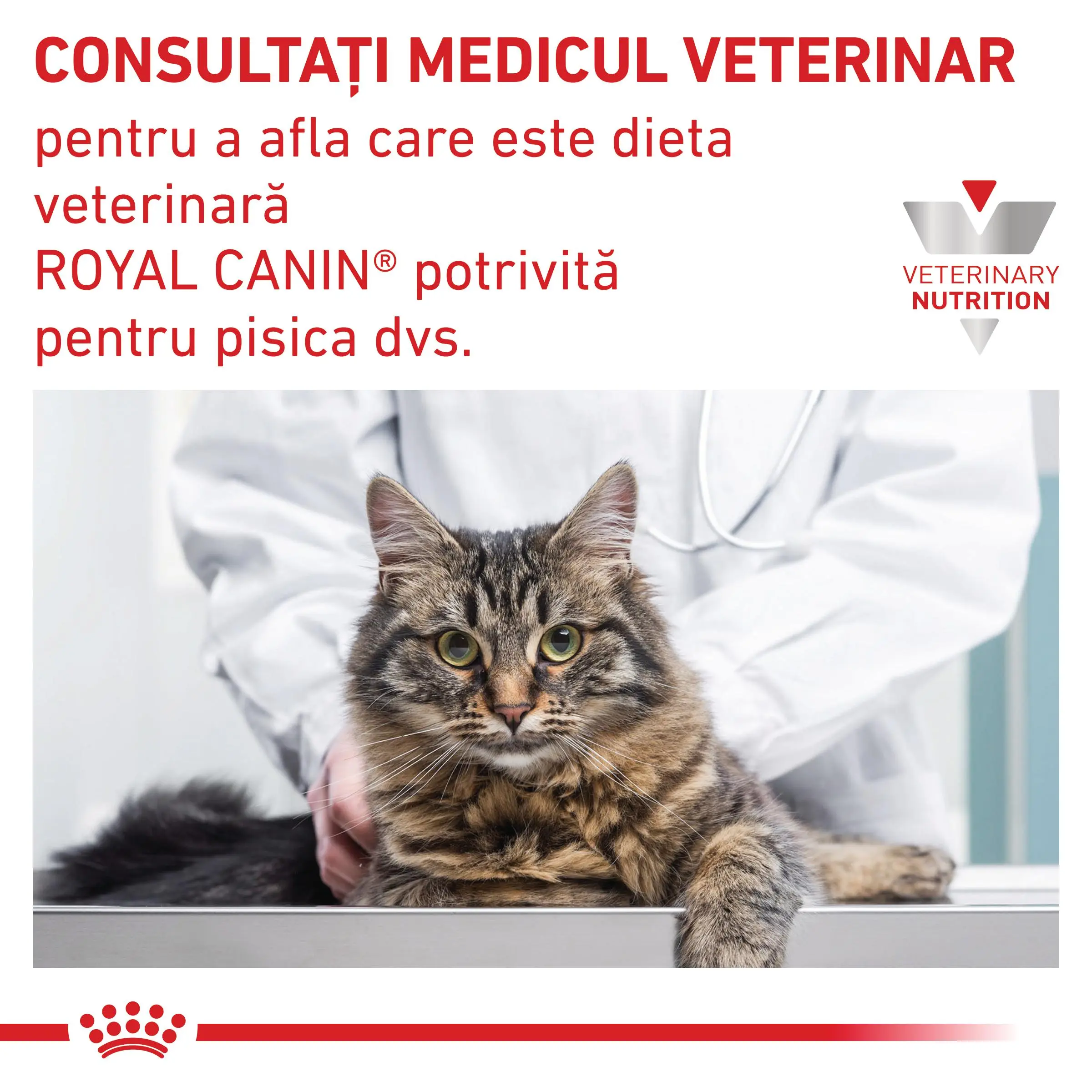 ROYAL CANIN VD Satiety Weight Management, dieta veterinara, plic hrana umeda pisici, obezitate, (in sos), bax, 85g x 12buc - Image 7