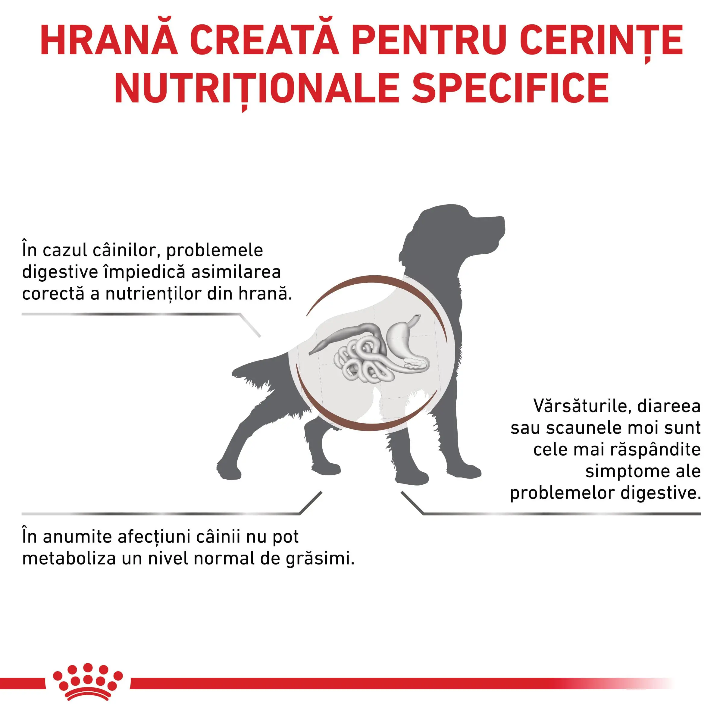 ROYAL CANIN VD Gastrointestinal Low Fat, XS-XL, dieta veterinara, conserva hrana umeda caini, sistem digestiv, (pate), 200g - Image 3
