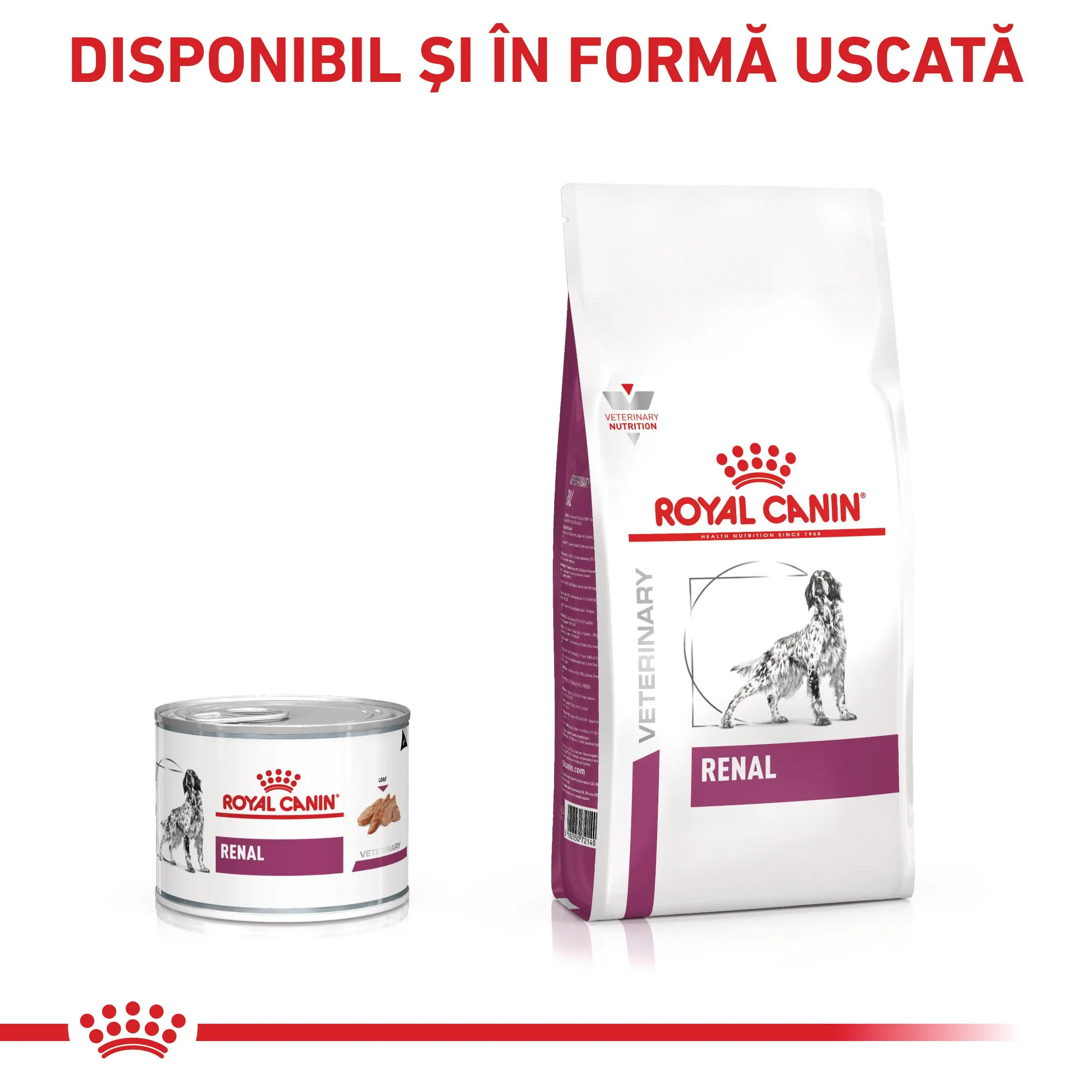 ROYAL CANIN VD Renal, XS-XL, dieta veterinara, conserva hrana umeda caini, sistem renal, (pate), 200g - Image 7