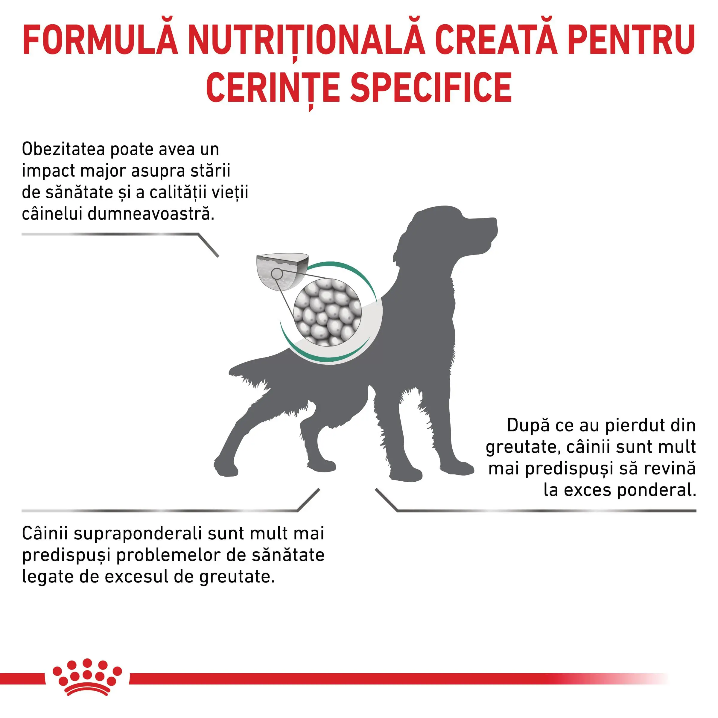 ROYAL CANIN VD Satiety, XS-XL, dieta veterinara, hrana uscata caini, obezitate, 12kg - Image 3