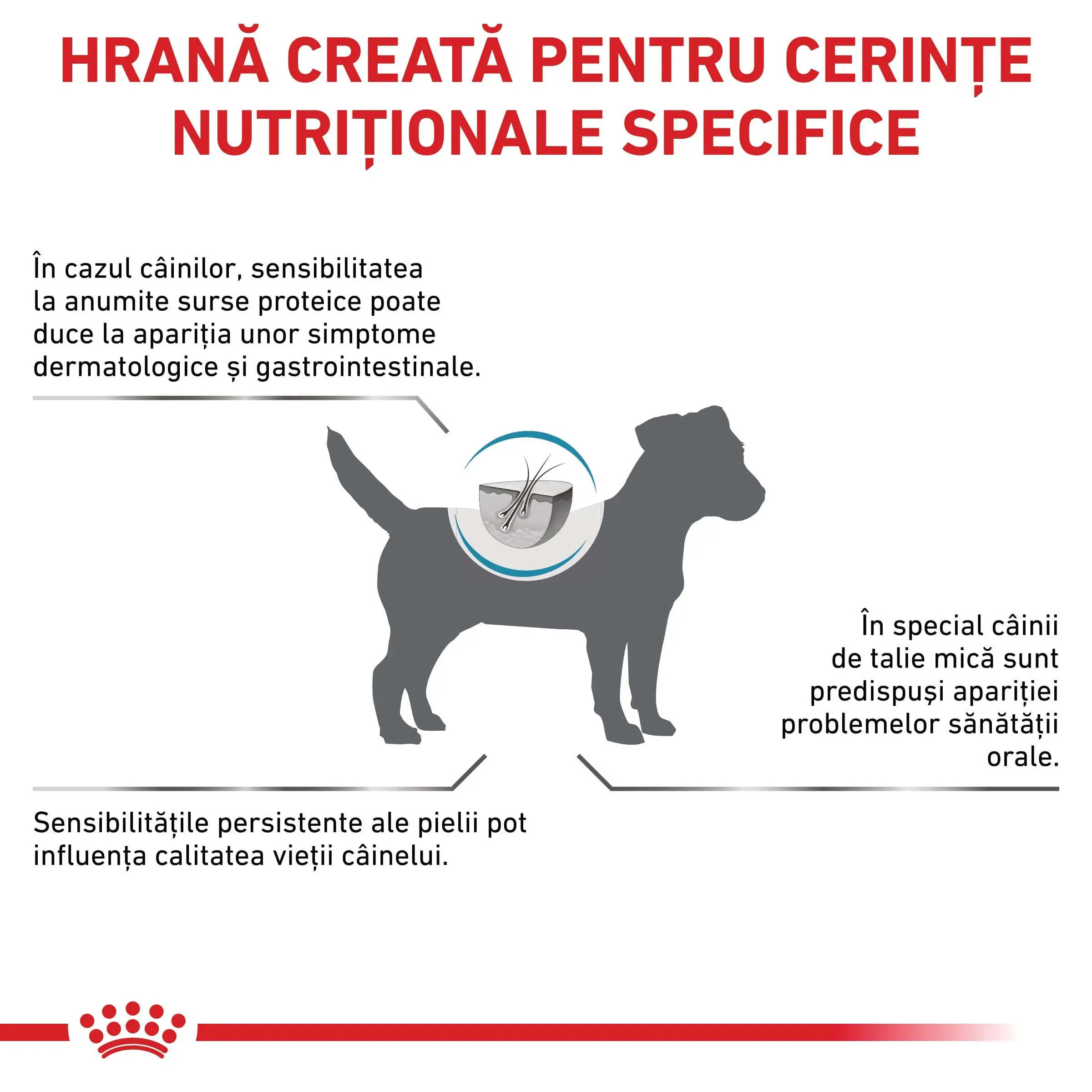 ROYAL CANIN VD Anallergenic Small Dog, XS-S, dieta veterinara, hrana uscata caini, alergii alimentare, 3kg - Image 3