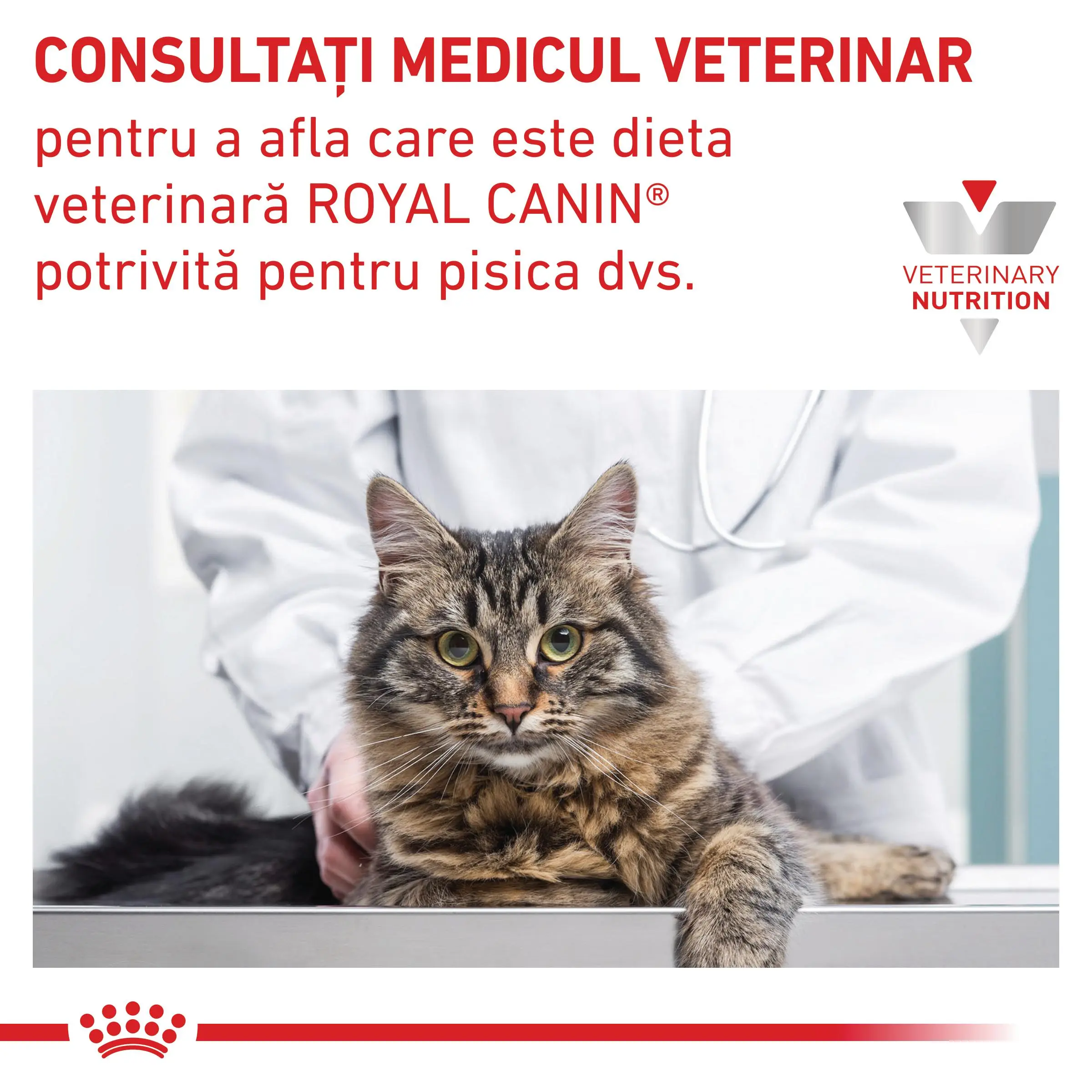 ROYAL CANIN VD Sensitivity Control, dieta veterinara, plic hrana umeda pisici, afectiuni dermatologice, (in sos), bax, 85g x 12buc - Image 7