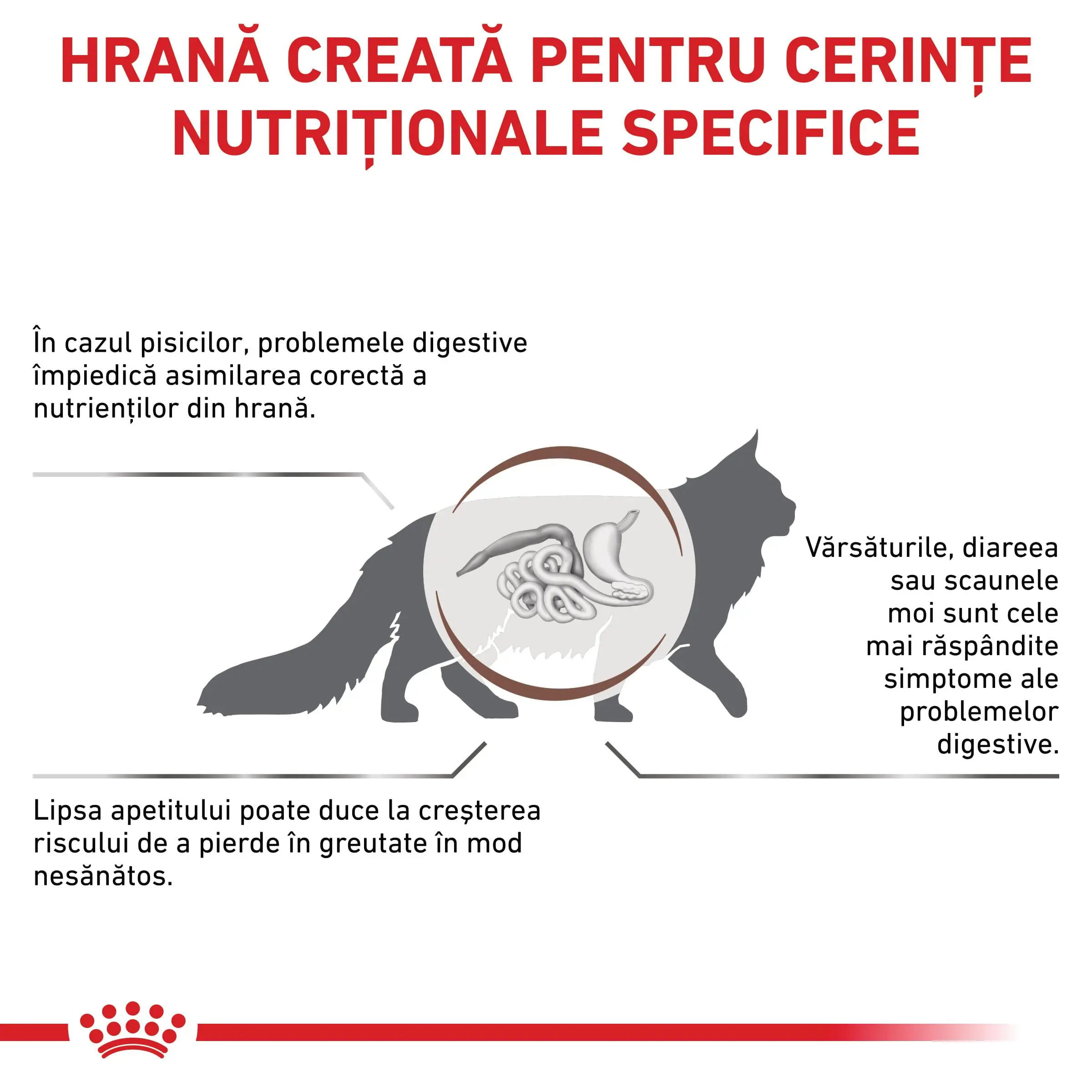 ROYAL CANIN VD Gastrointestinal, dieta veterinara, hrana uscata pisici, sistem digestiv, 400g - Image 3