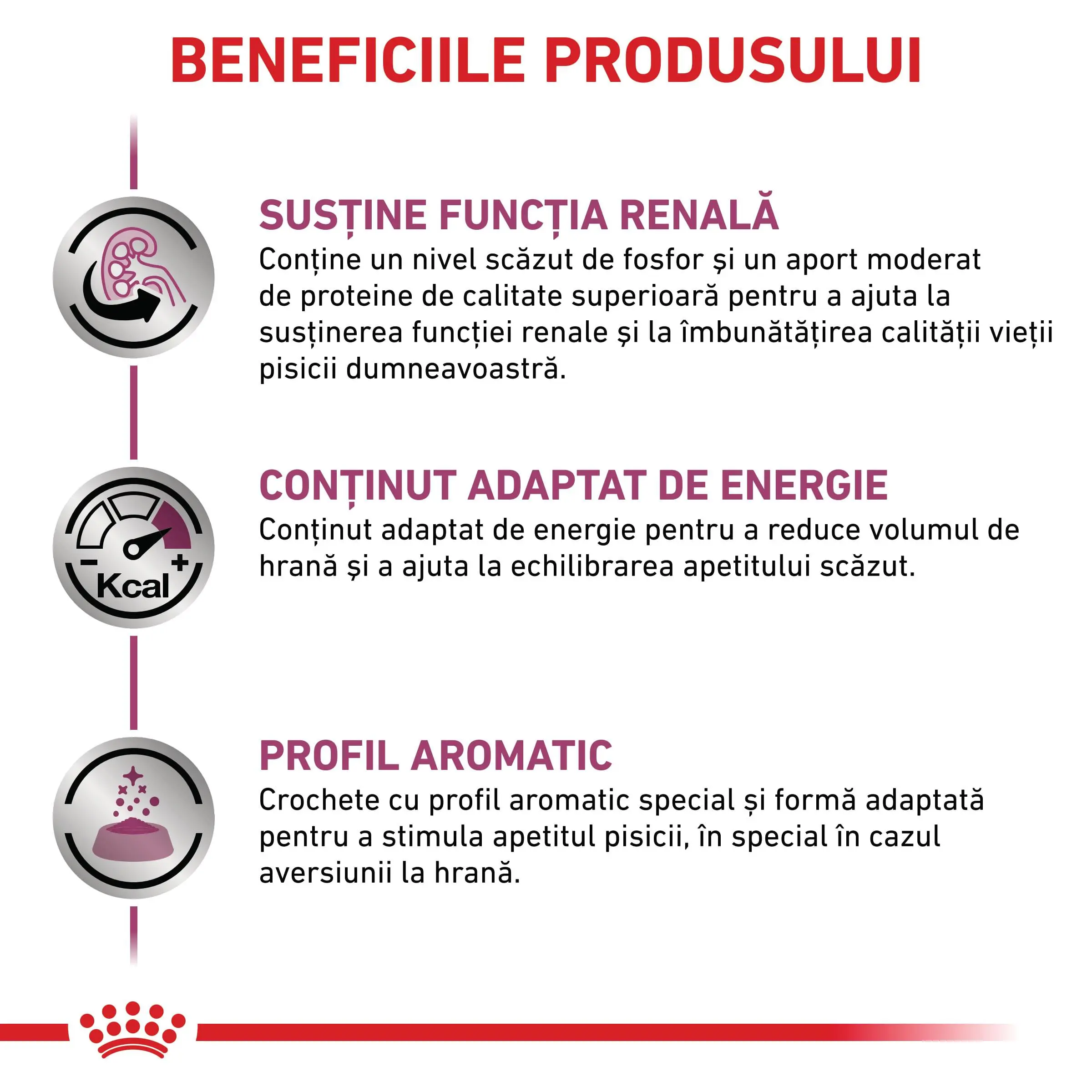 ROYAL CANIN VD Renal, dieta veterinara, hrana uscata pisici, sistem renal, 2kg - Image 4