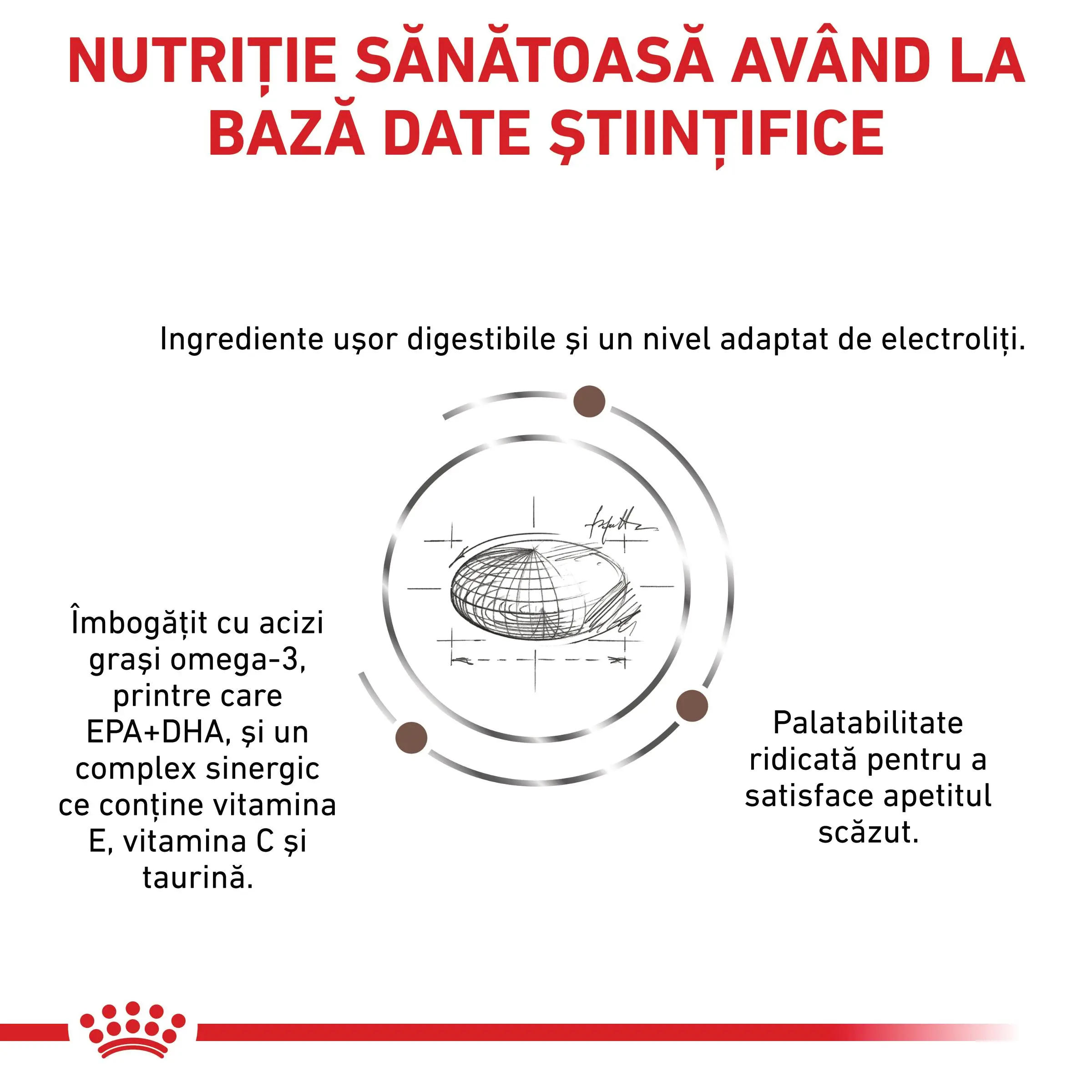 ROYAL CANIN VD Gastrointestinal Moderate Calorie, dieta veterinara, hrana uscata pisici, sistem digestiv, 4kg - Image 7