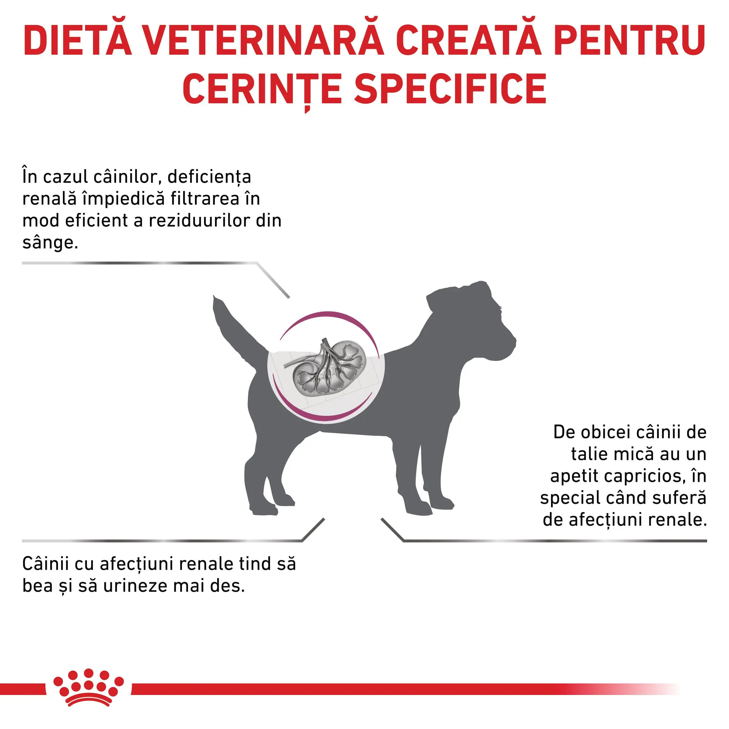 ROYAL CANIN VD Renal Small Dog, XS-S, dieta veterinara, hrana uscata caini, sistem renal, 3.5kg - Image 3
