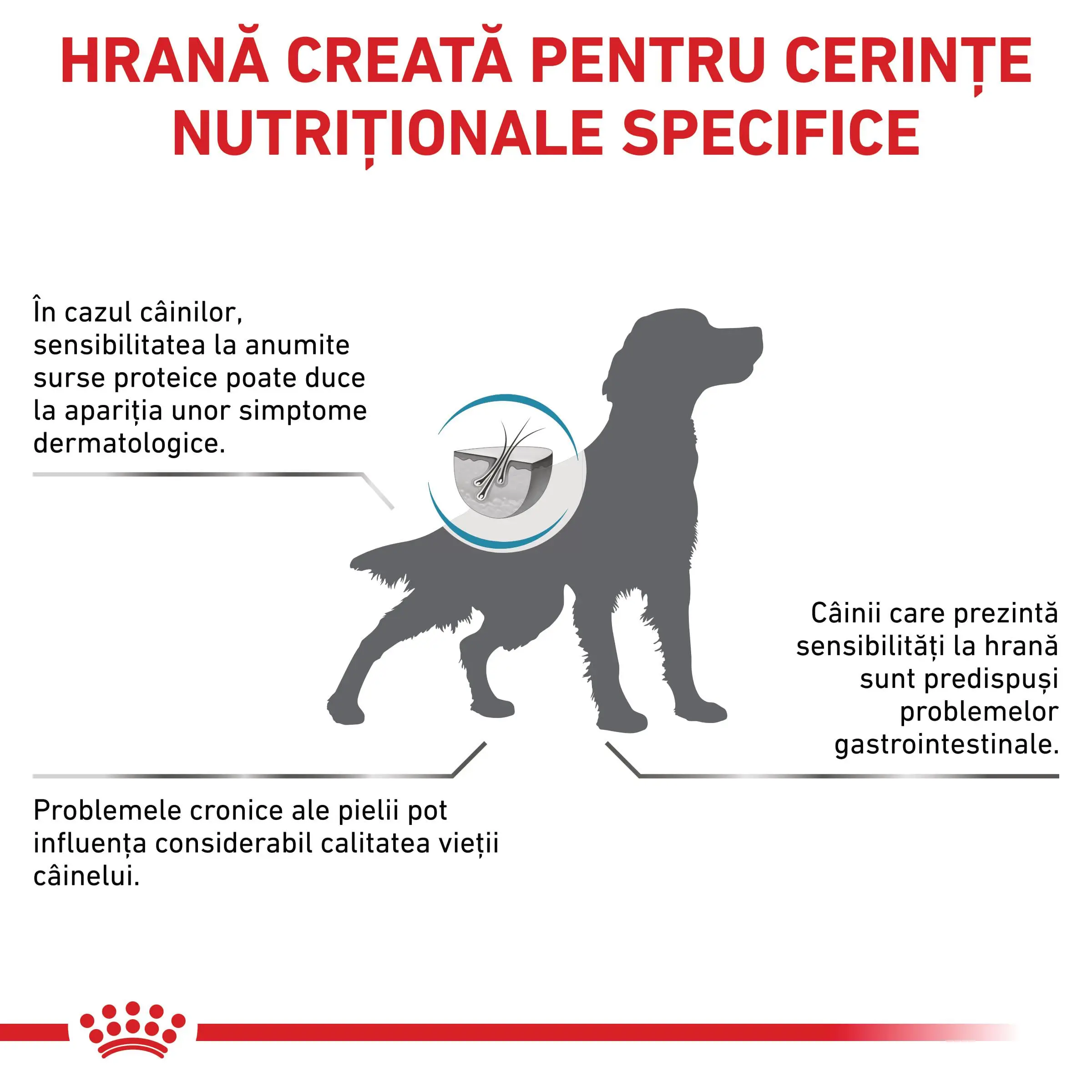 ROYAL CANIN VD Sesitivity Control, XS-XL, dieta veterinara, hrana uscata caini, afectiuni dermatologice, 7kg - Image 3