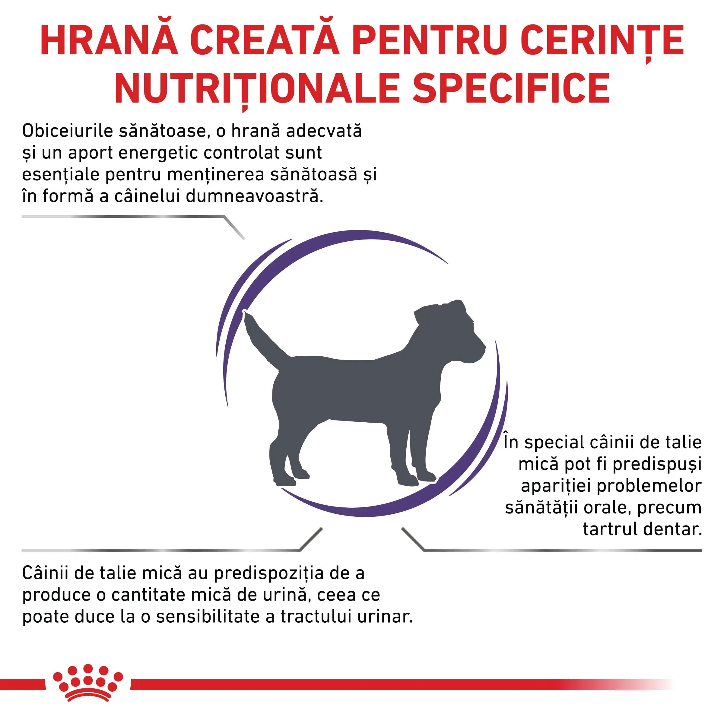 ROYAL CANIN VD Adult Small Dog, XS-S, dieta veterinara, hrana uscata caini, 4kg - Image 3