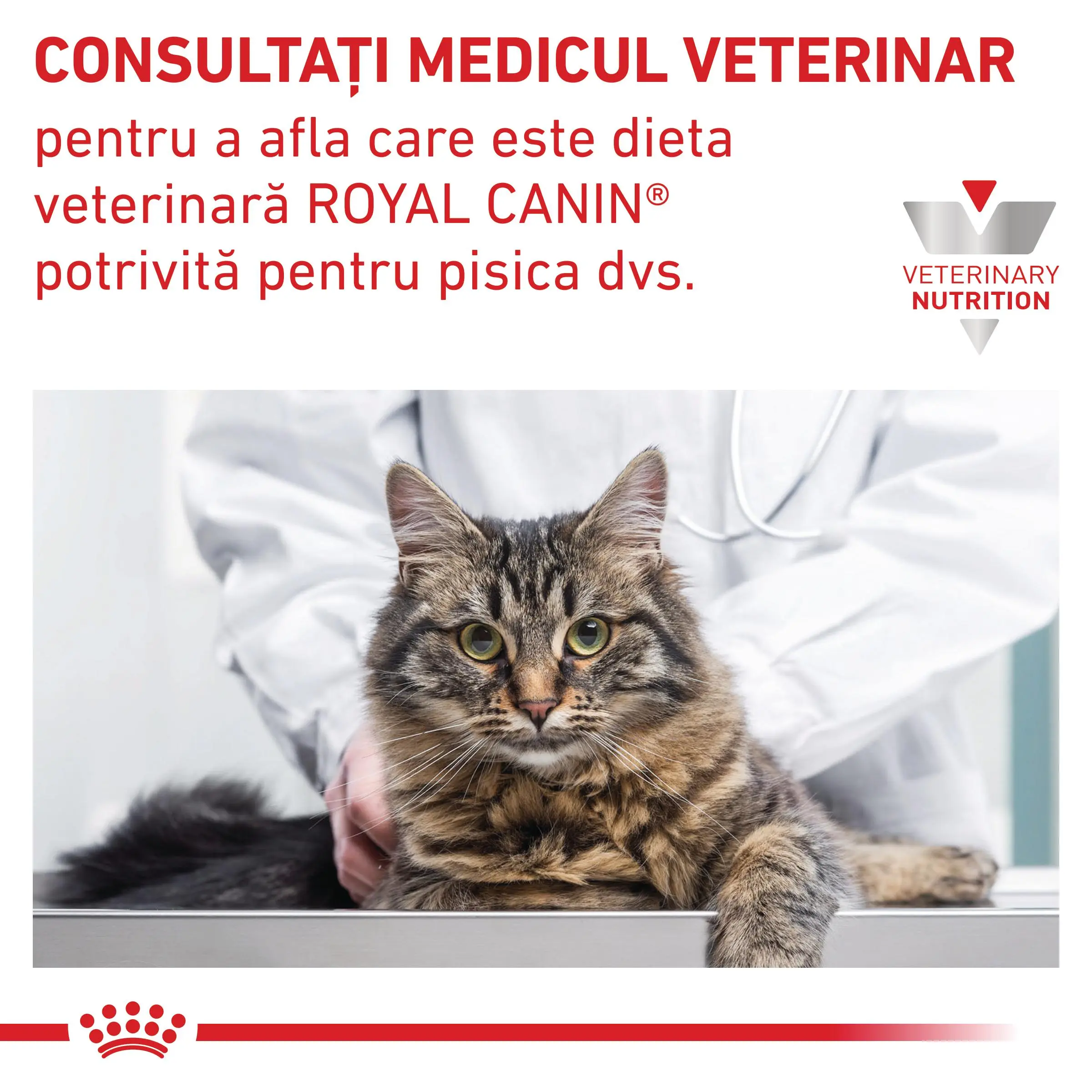 ROYAL CANIN VD Gastrointestinal Moderate Calorie, dieta veterinara, hrana uscata pisici, sistem digestiv, 4kg - Image 8