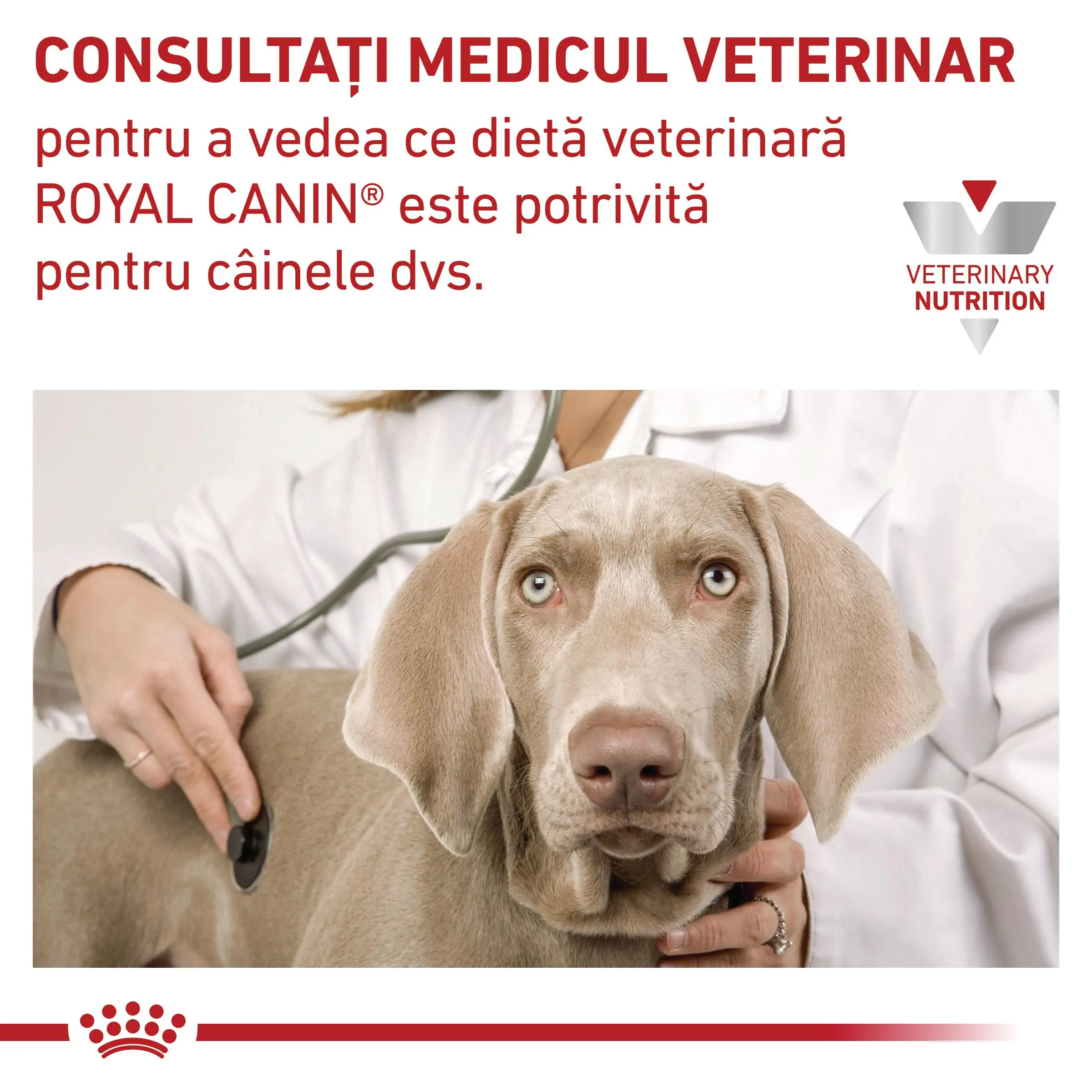 ROYAL CANIN VD Urinary S/O, M-XL, dieta veterinara, hrana uscata caini, sistem urinar, 7.5kg - Image 8