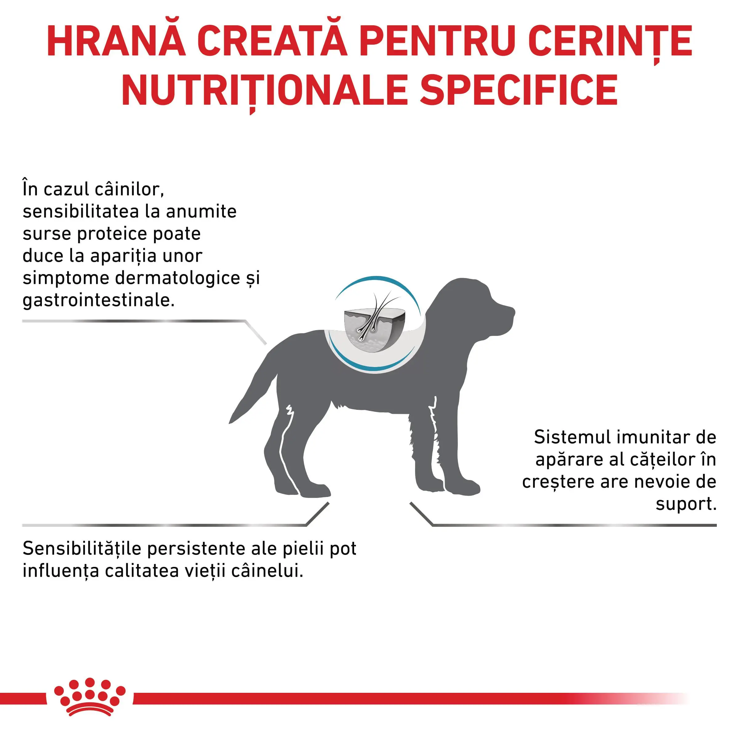 ROYAL CANIN VD Hypoallergenic Puppy, XS-XL, dieta veterinara, hrana uscata caini junior, afectiuni dermatologice, 3.5kg - Image 3