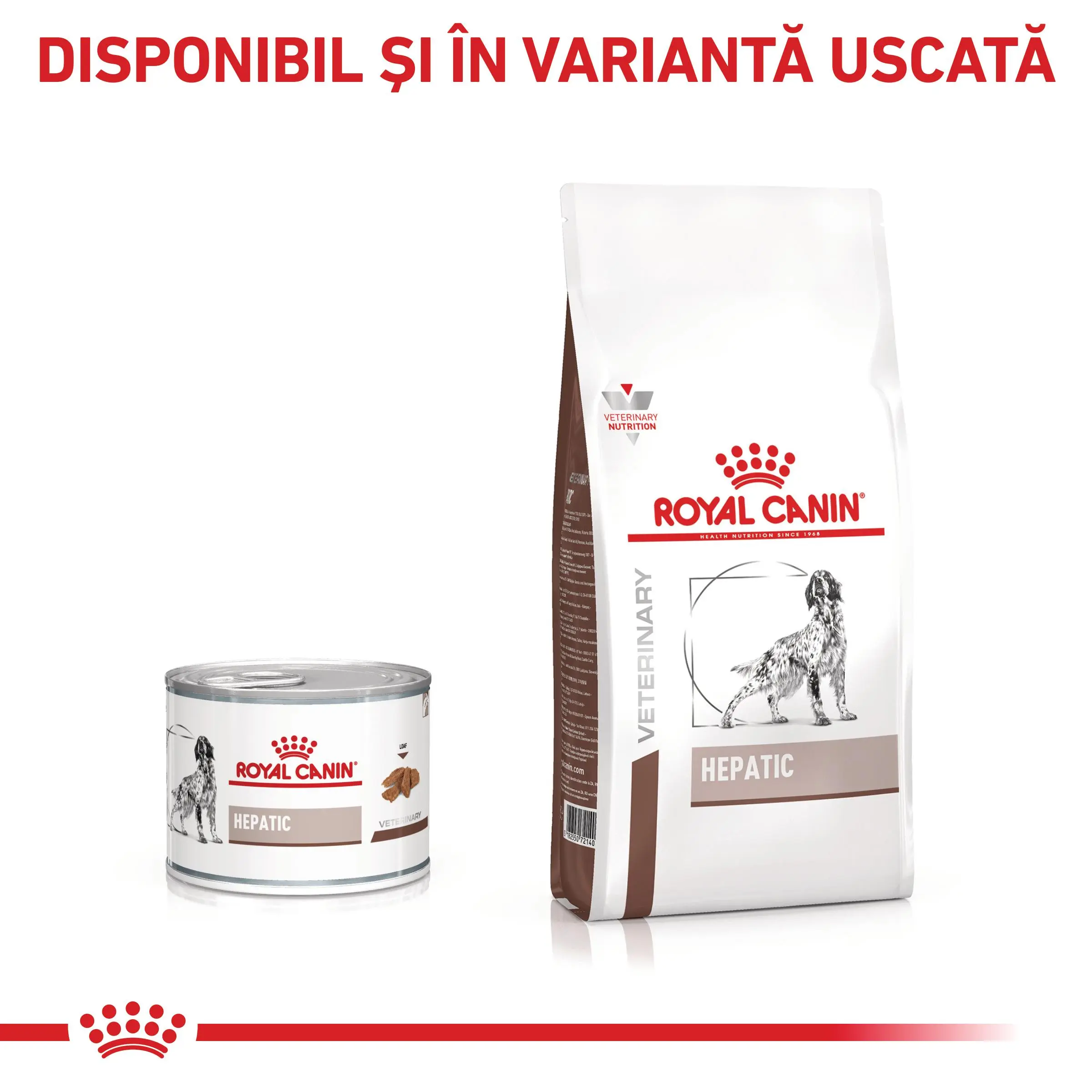 ROYAL CANIN VD Hepatic, XS-XL, dieta veterinara, conserva hrana umeda caini, suport hepatic, (pate), 200g - Image 7