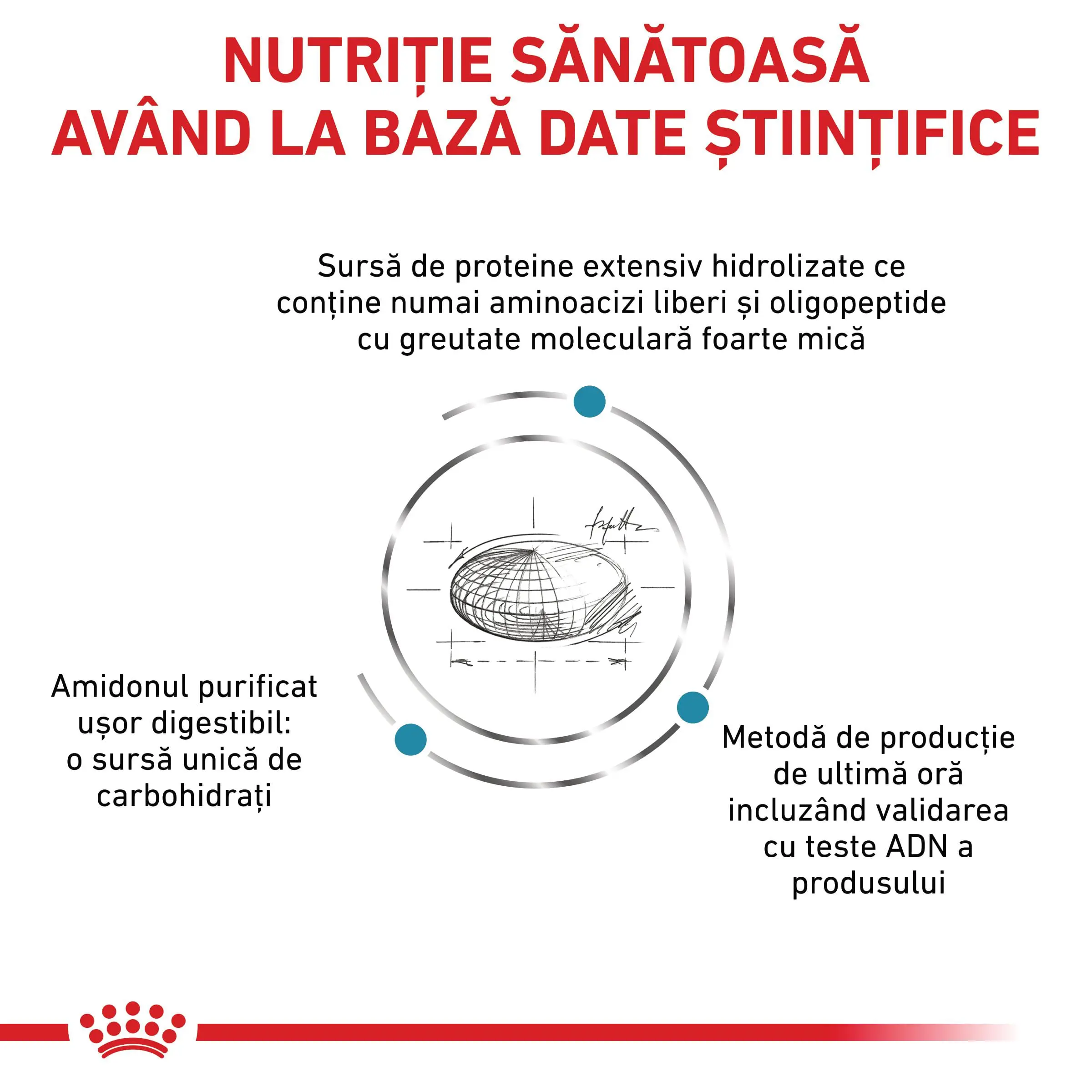 ROYAL CANIN VD Anallergenic Small Dog, XS-S, dieta veterinara, hrana uscata caini, alergii alimentare, 3kg - Image 7