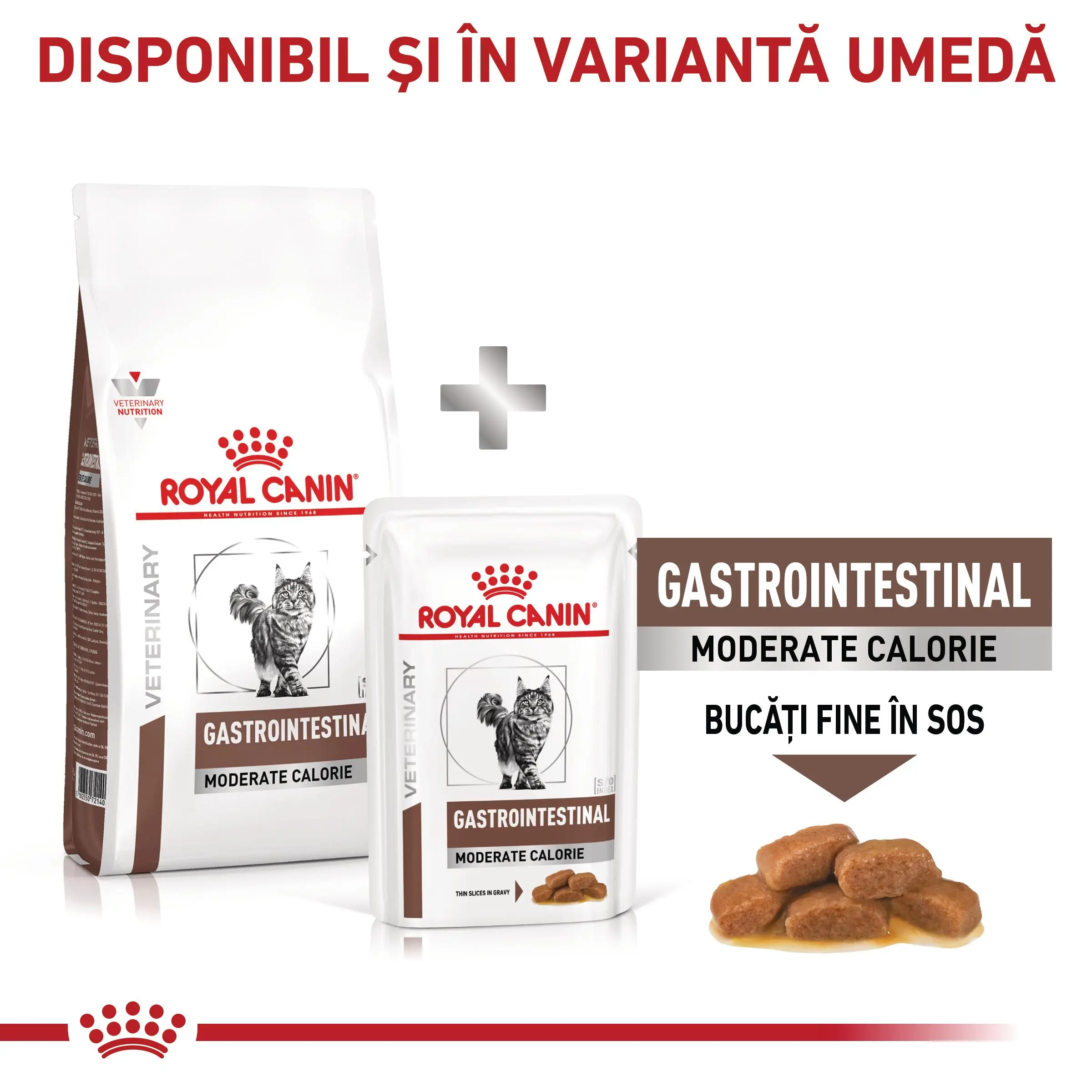 ROYAL CANIN VD Gastrointestinal Moderate Calorie, dieta veterinara, hrana uscata pisici, sistem digestiv, 4kg - Image 9