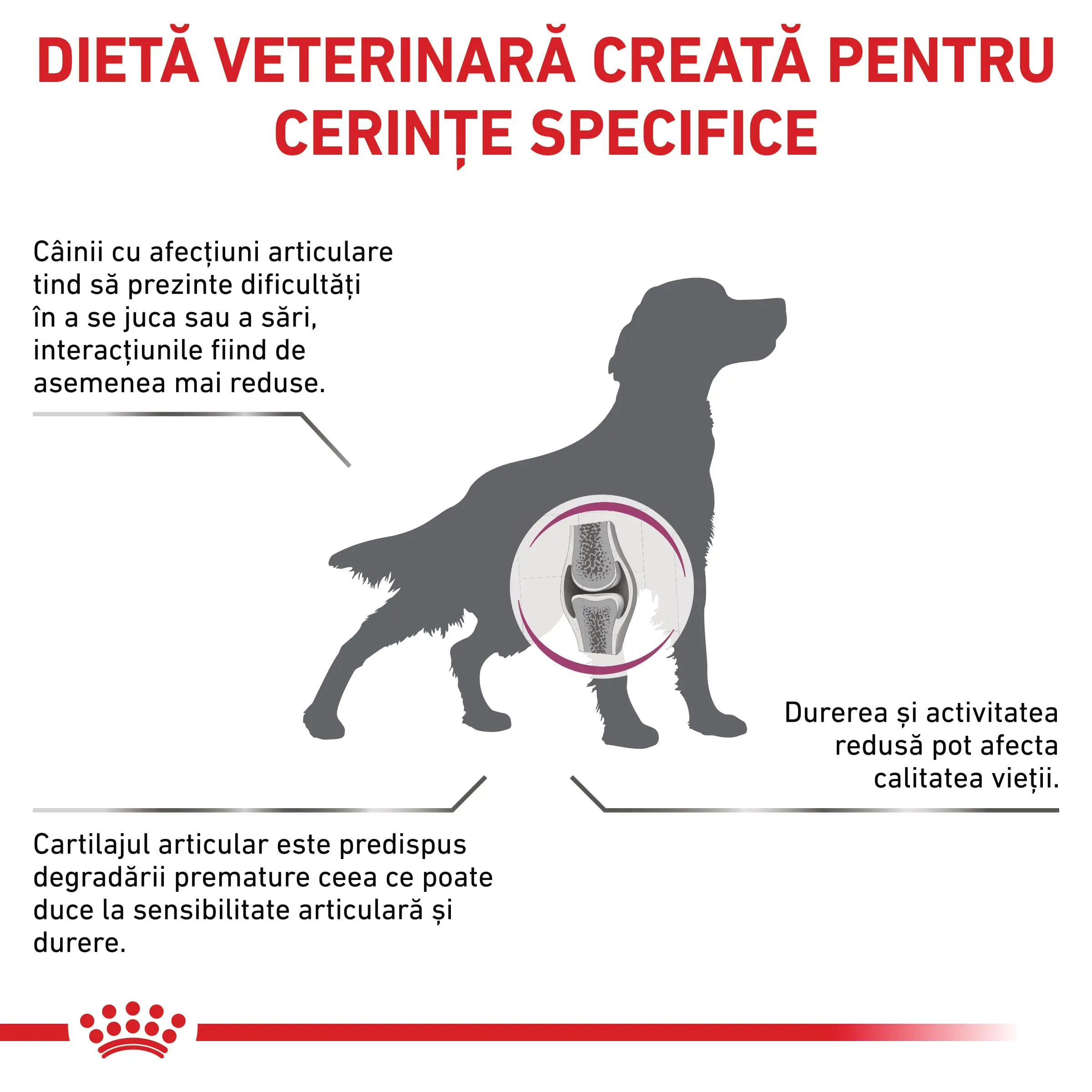 ROYAL CANIN VD Mobility Support, XS-XL, dieta veterinara, hrana uscata caini, sistem articular, 12kg - Image 3