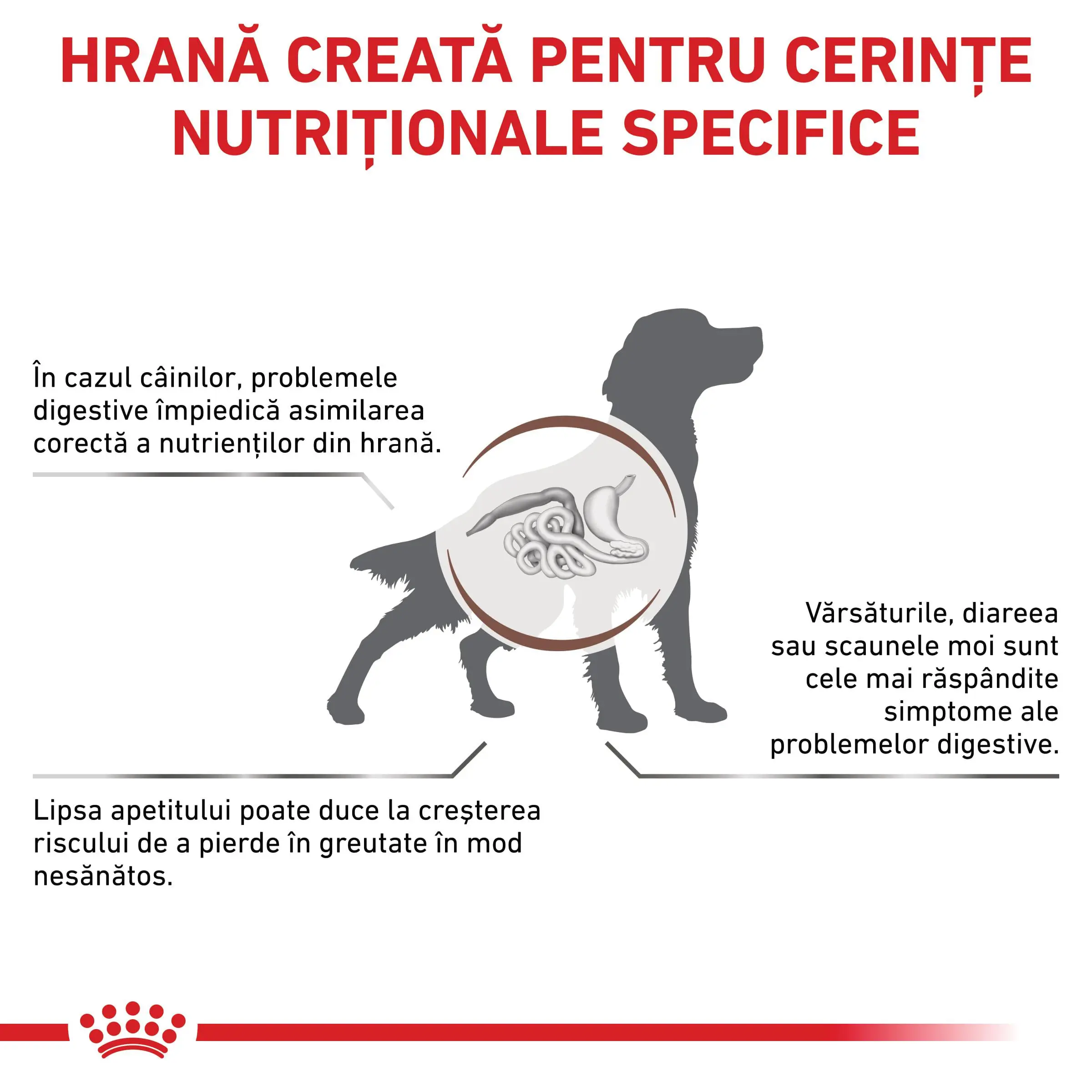 ROYAL CANIN VD Gastrointestinal, M-XL, dieta veterinara, hrana uscat�� caini, sistem digestiv, 2kg - Image 3