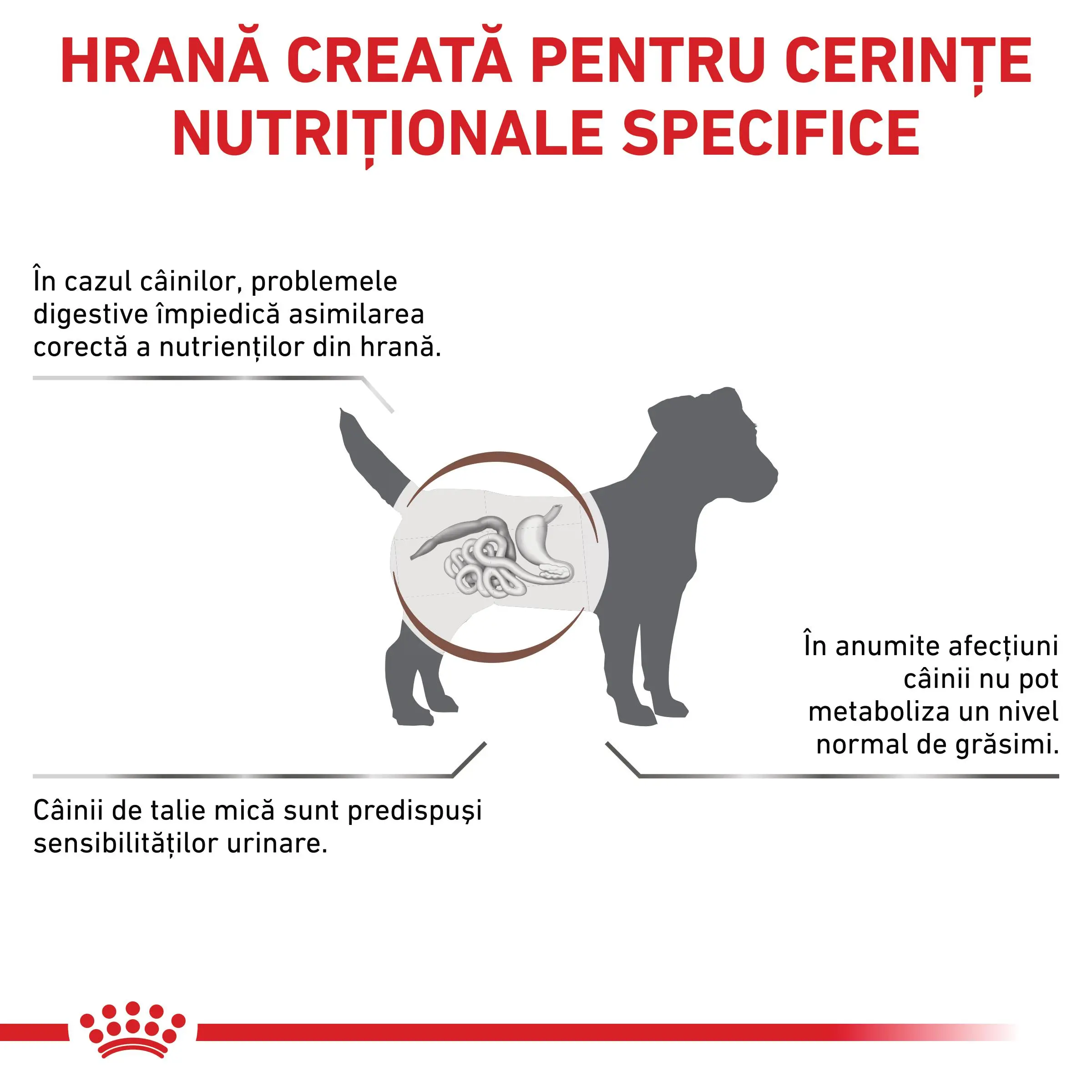 ROYAL CANIN VD Gastrointestinal Low Fat Small Dog, XS-S, dieta veterinara, hrana uscata caini, sistem digestiv, 3.5kg - Image 3